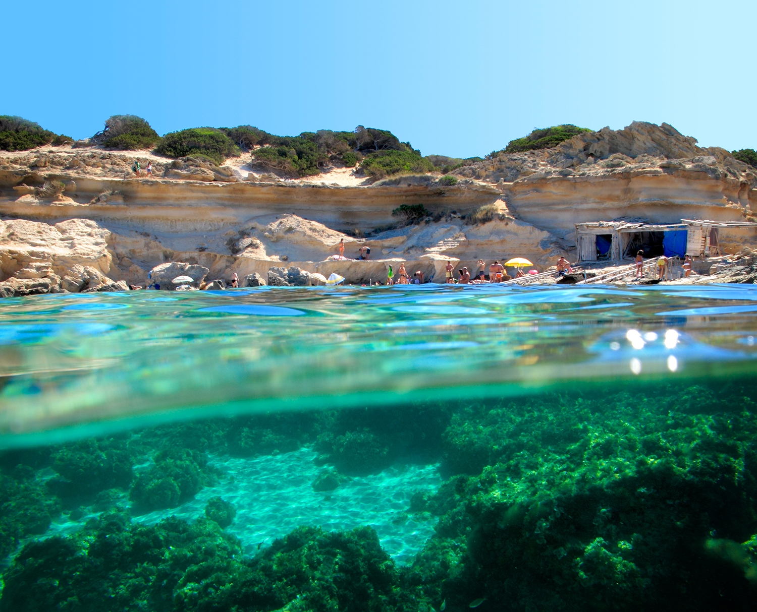 Les praderies de posidònia a Formentera