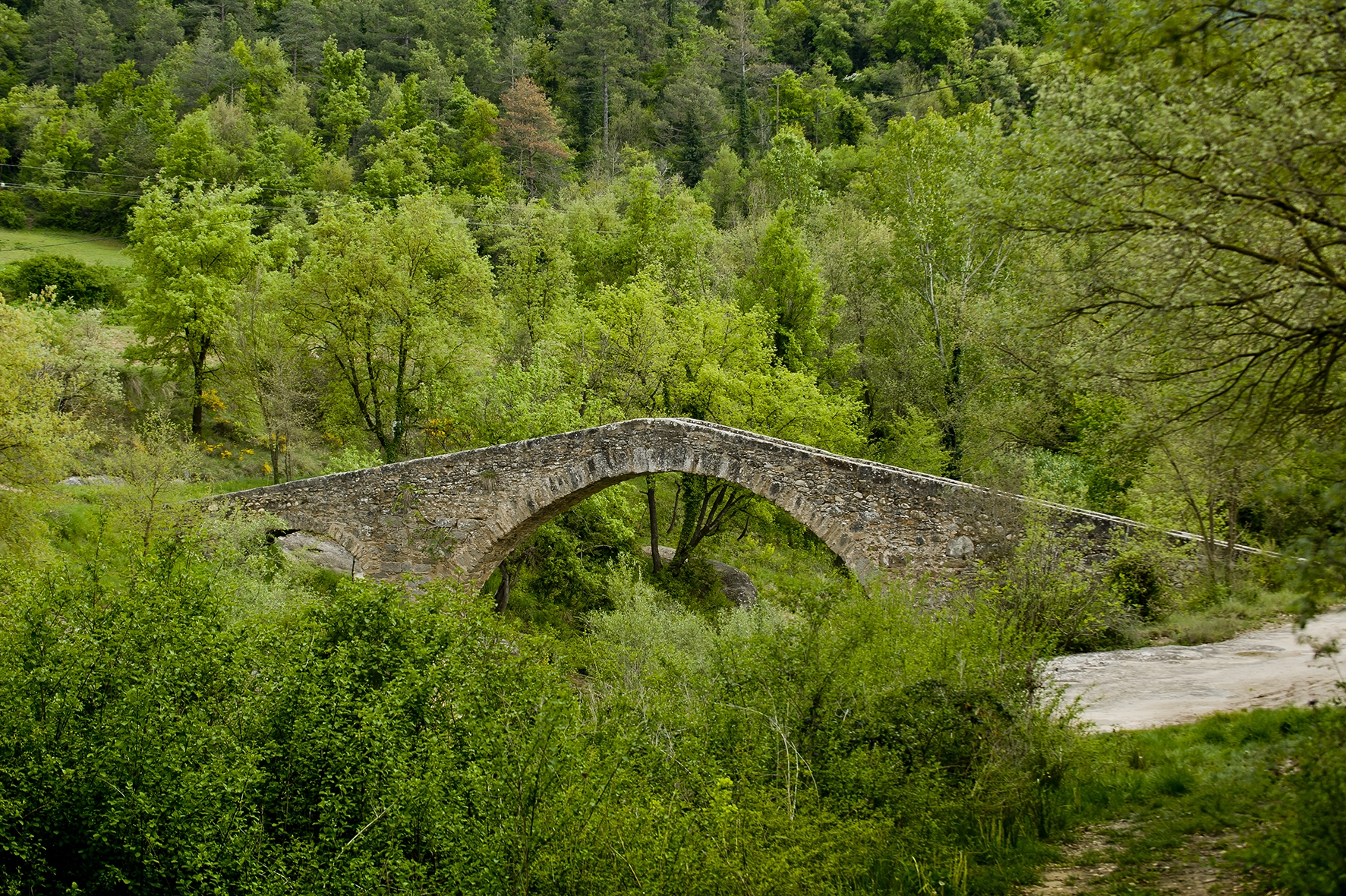 El pont romànic que creua el curs de la riera al seu pas per Santa Maria de Merlès