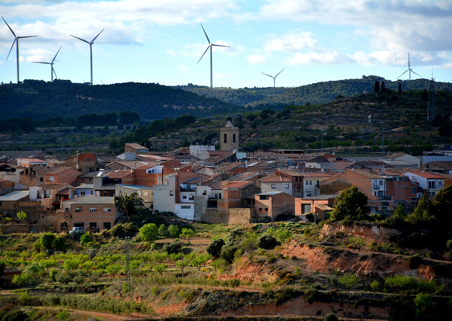 El paisatge del municipi de Bot