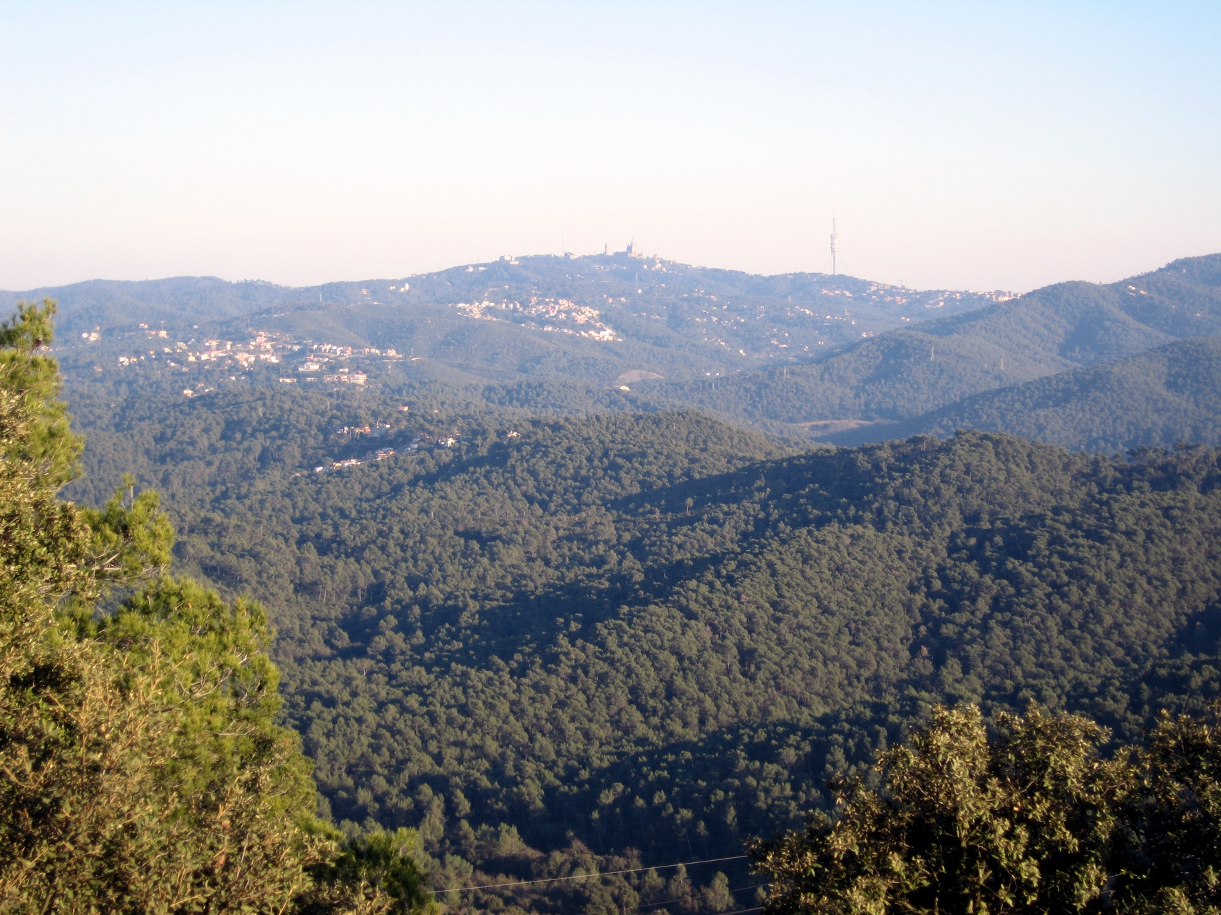 Collserola és un espai fàcilment accessible on es pot tenir un primer contacte amb la fauna i la flora mediterrànies