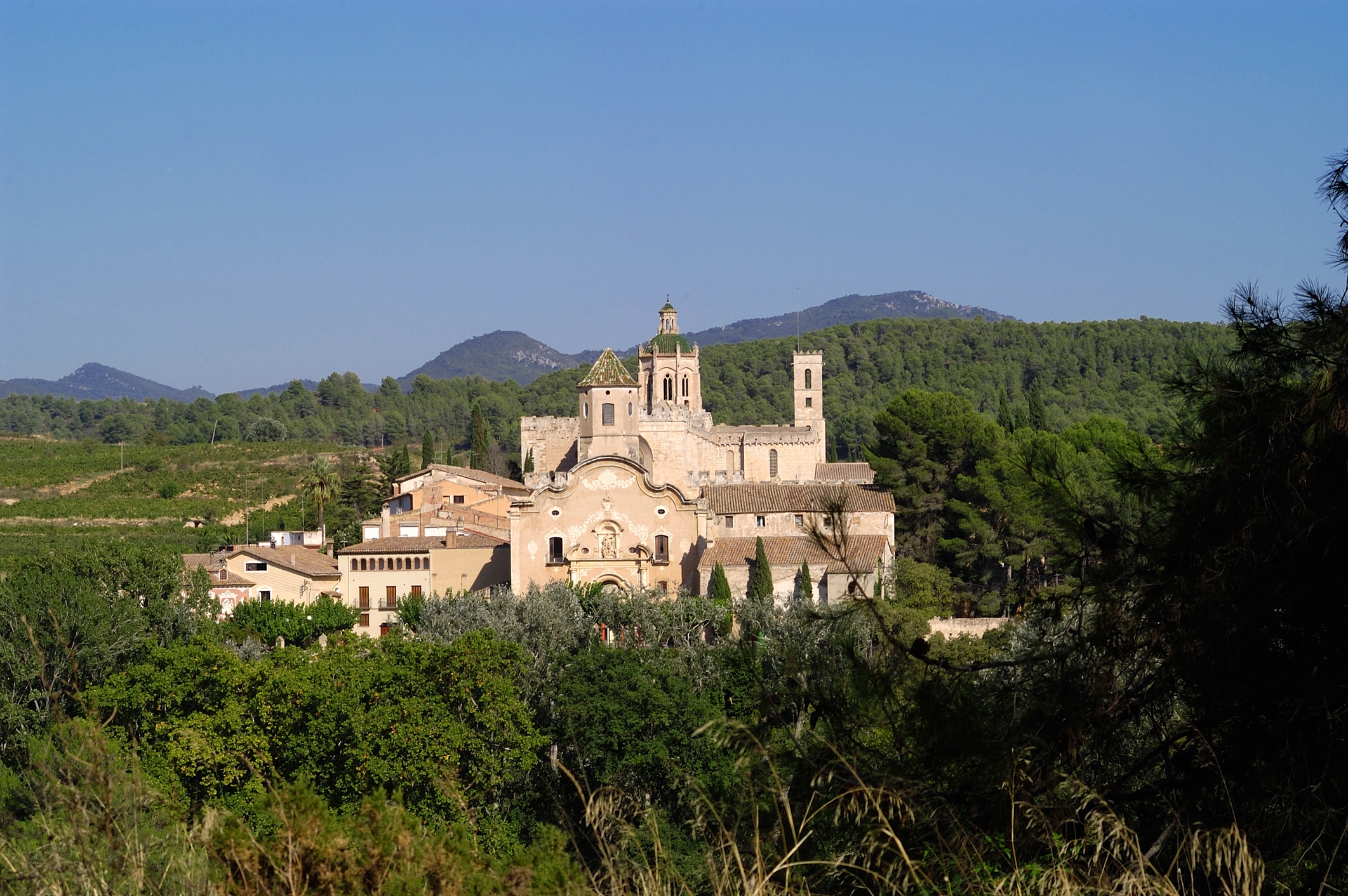 El monestir de Santes Creus amb una arquitectura austera i sòlida