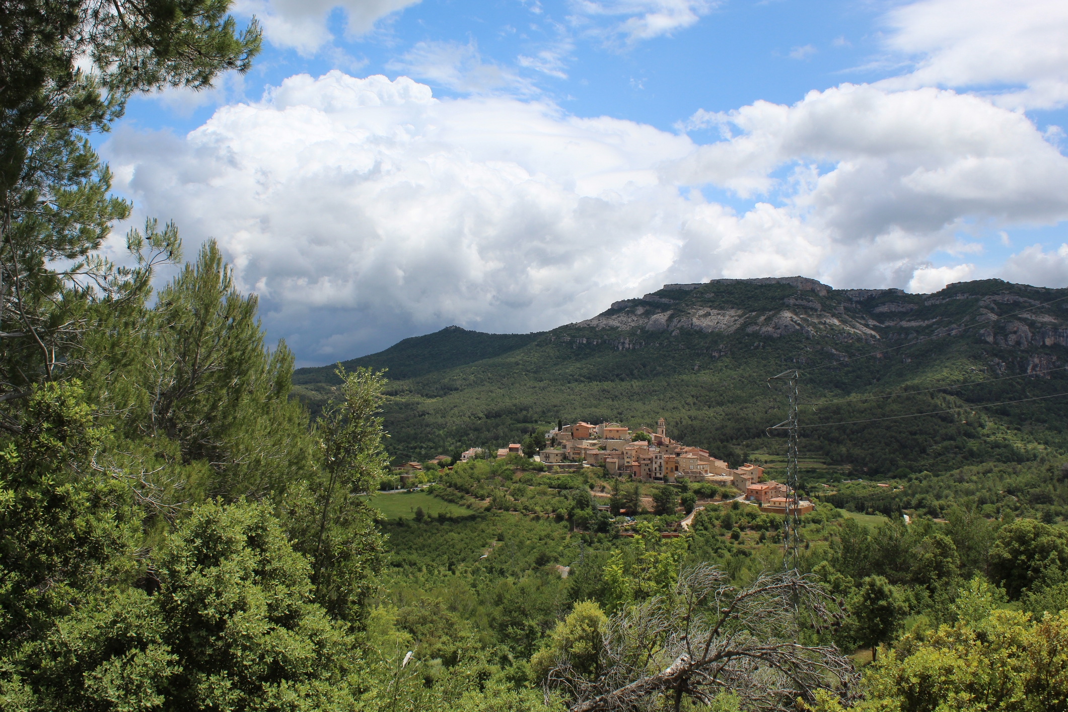 Capafonts a la serra de Prades