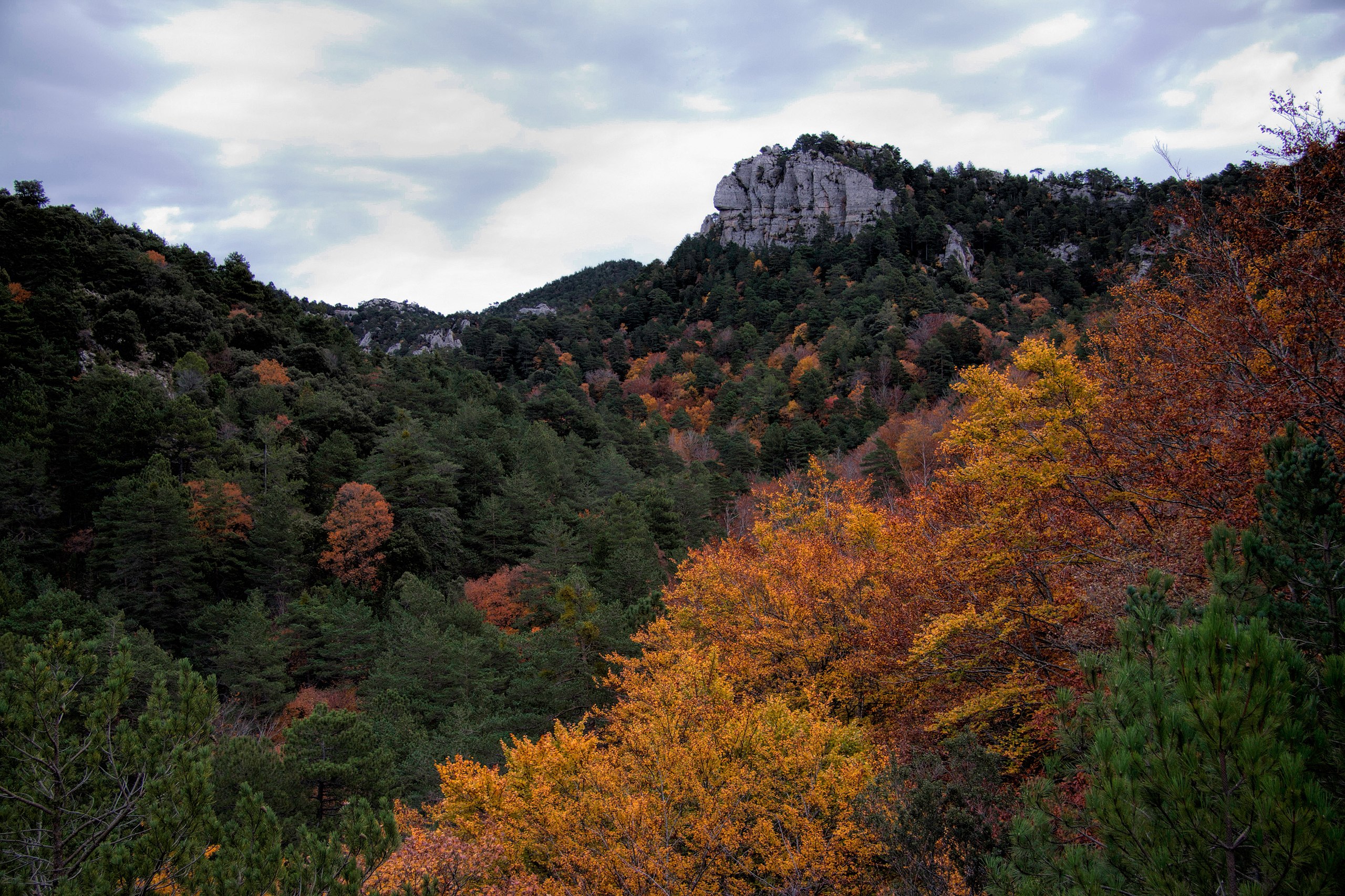 El barranc del Retaule