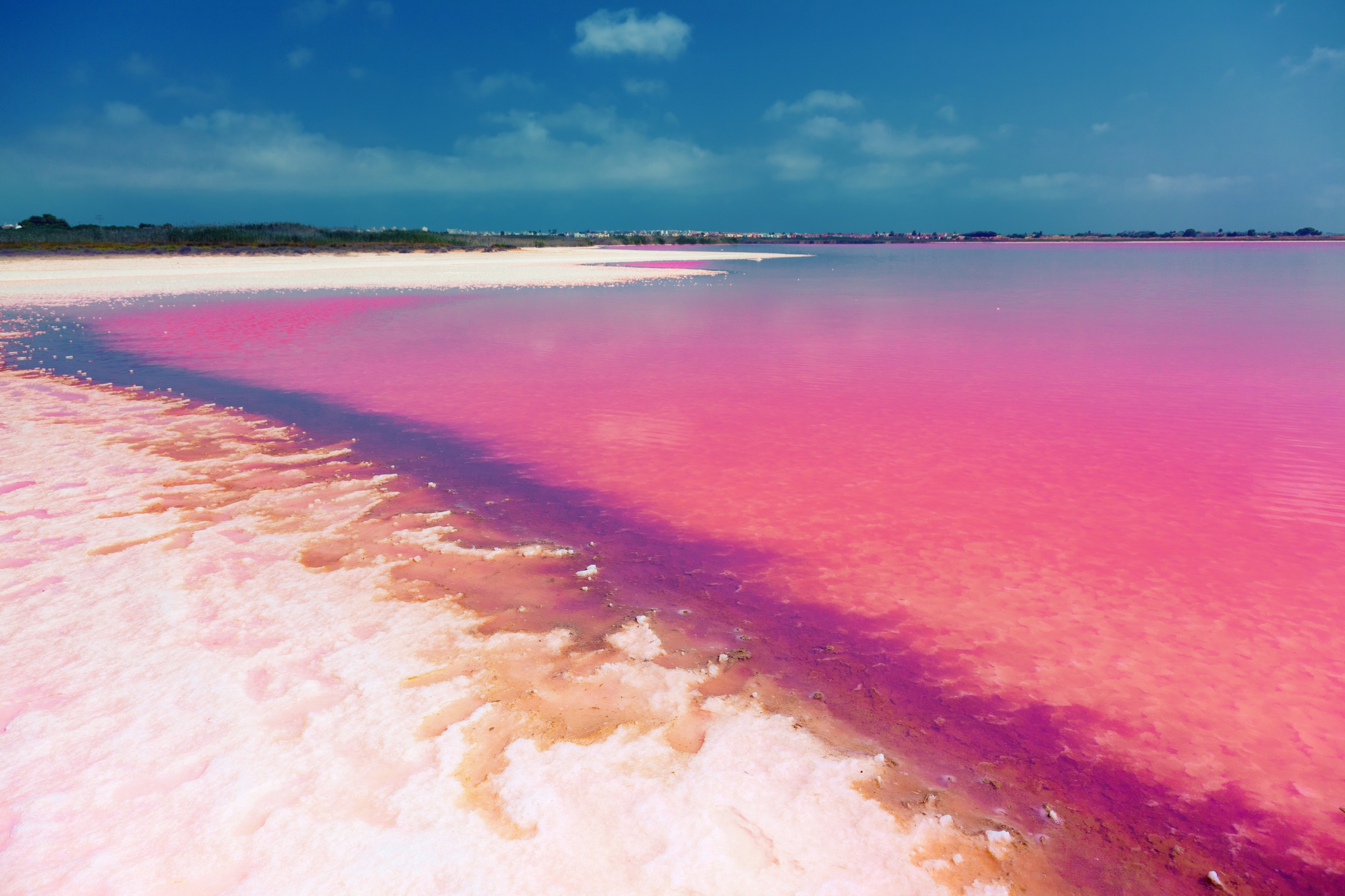 Impressionant llac rosa de Torrevella