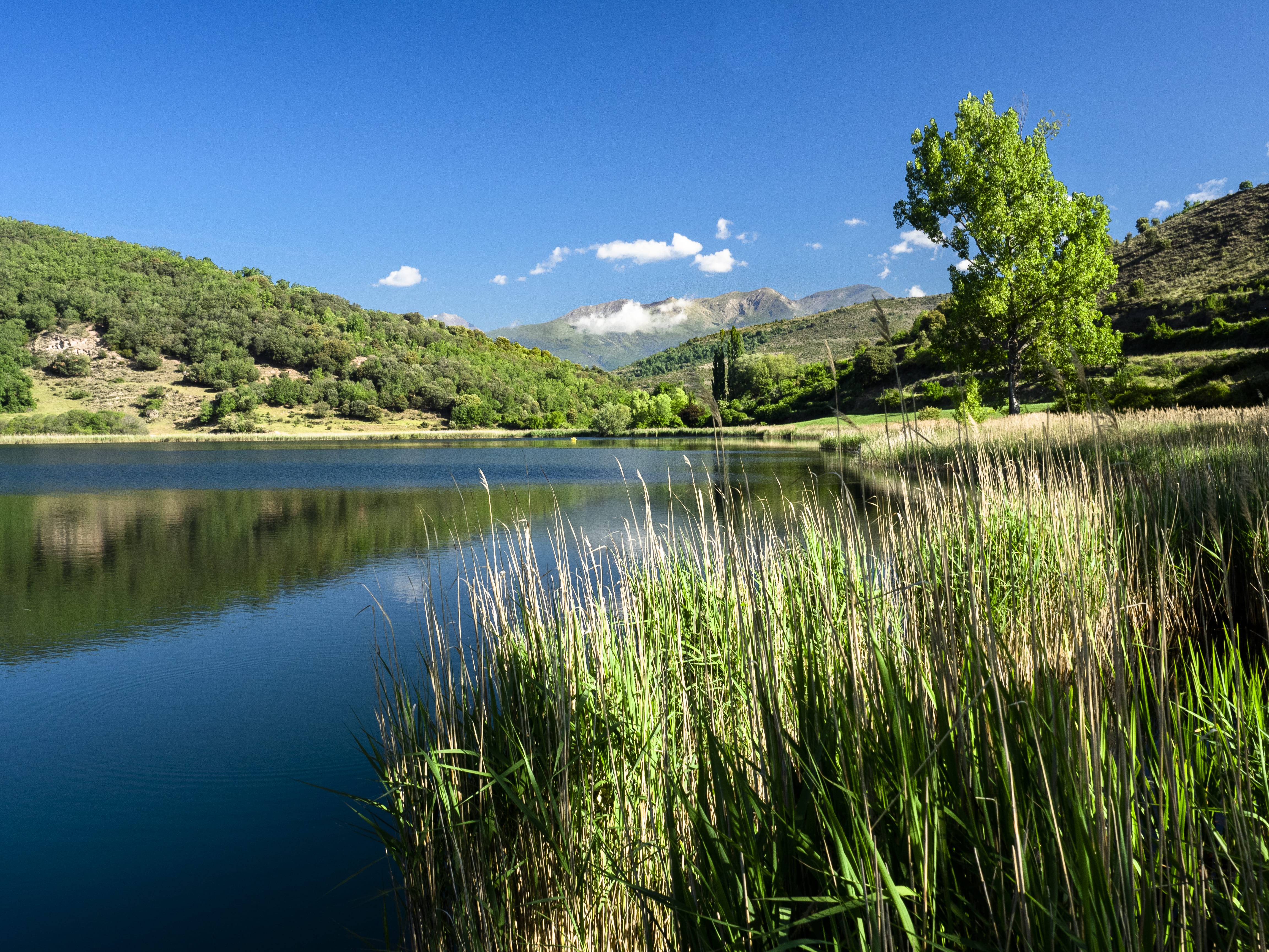 Aigües tranquil·les a l'estany de Montcortès