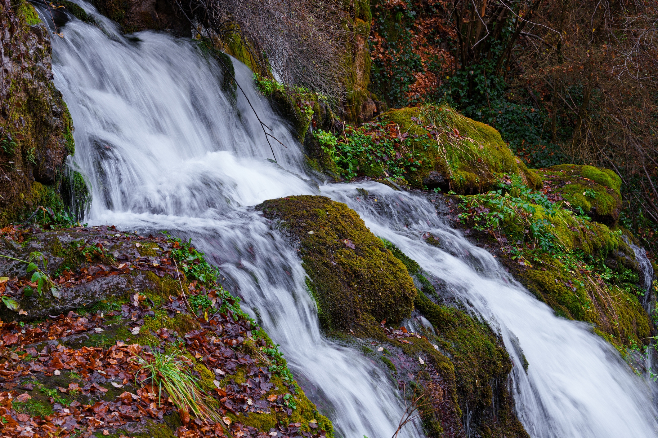 Les fonts del Llobregat a Castellar de n’Hug