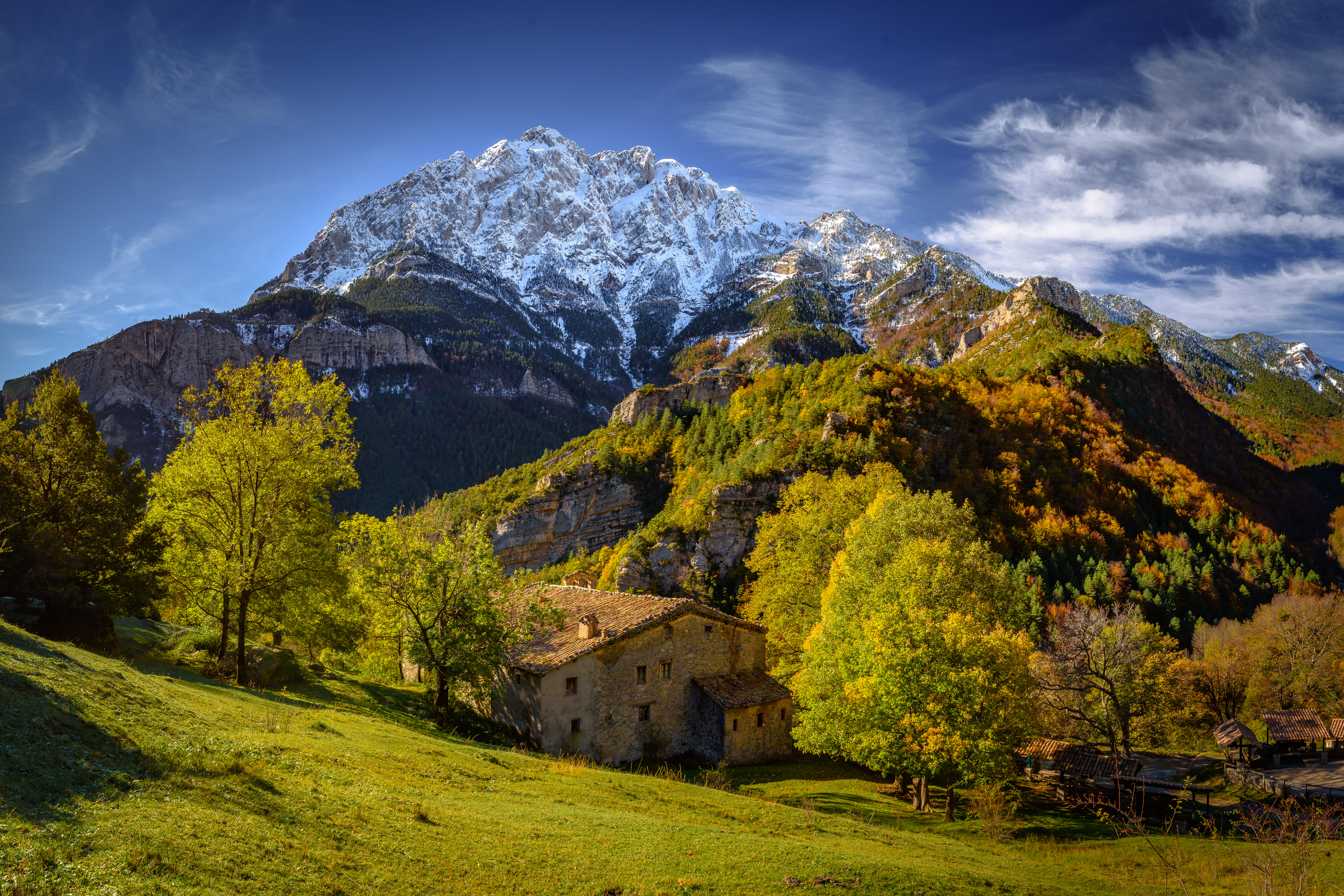 La fageda i el santuari del Gresolet, amb el Pedraforca al fons