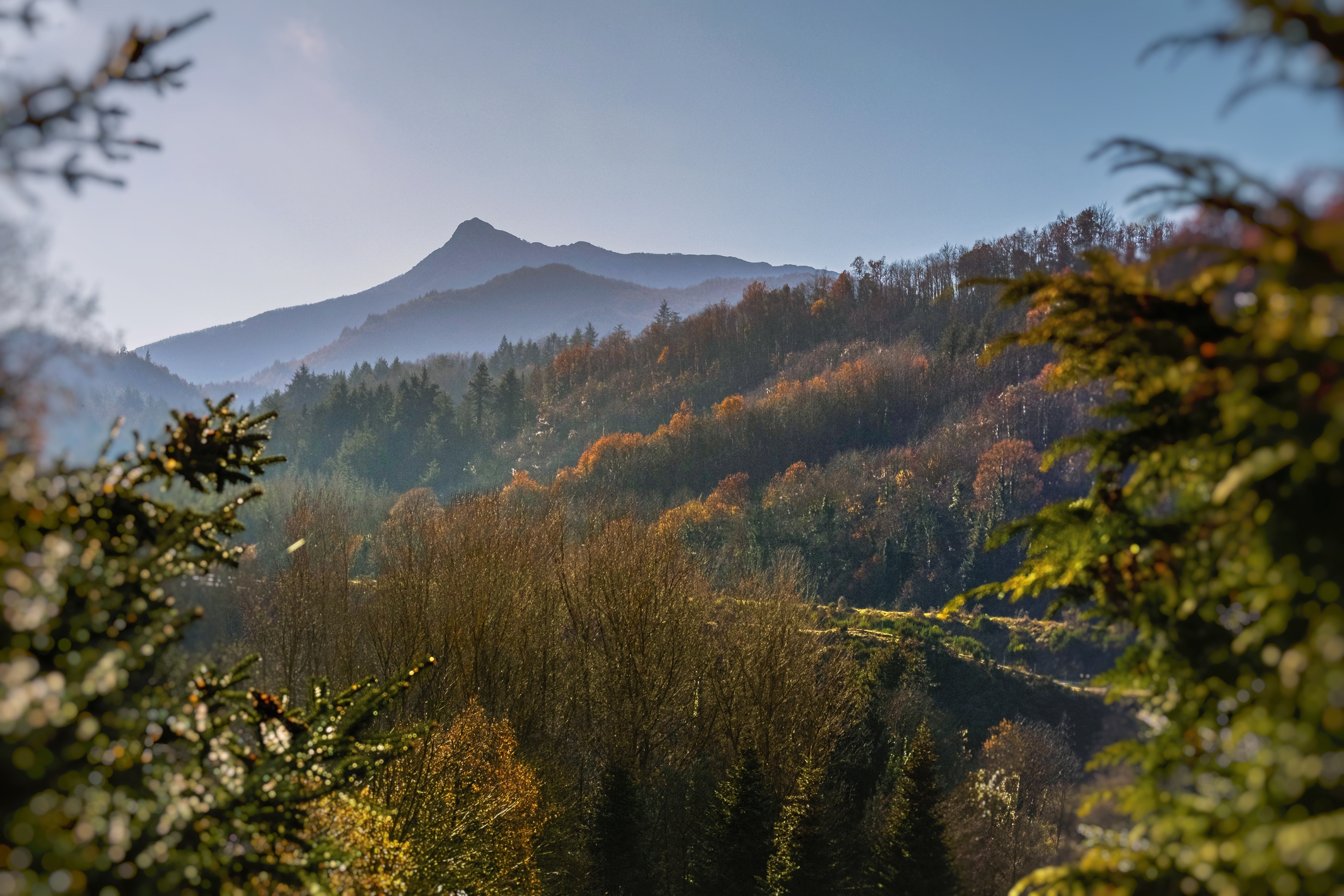 Les muntanyes del Montseny.