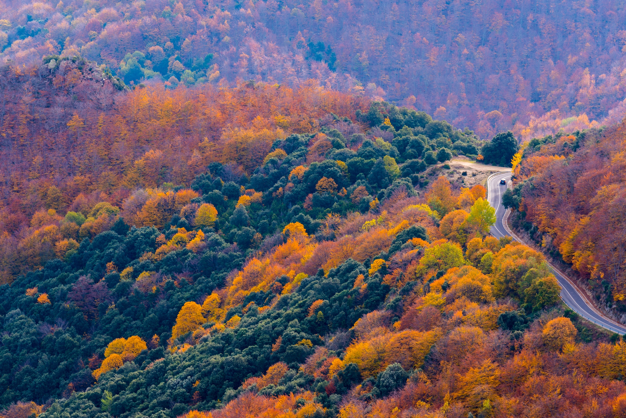 Cotxe creuant un camí entre el bosc del Montseny a la tardor