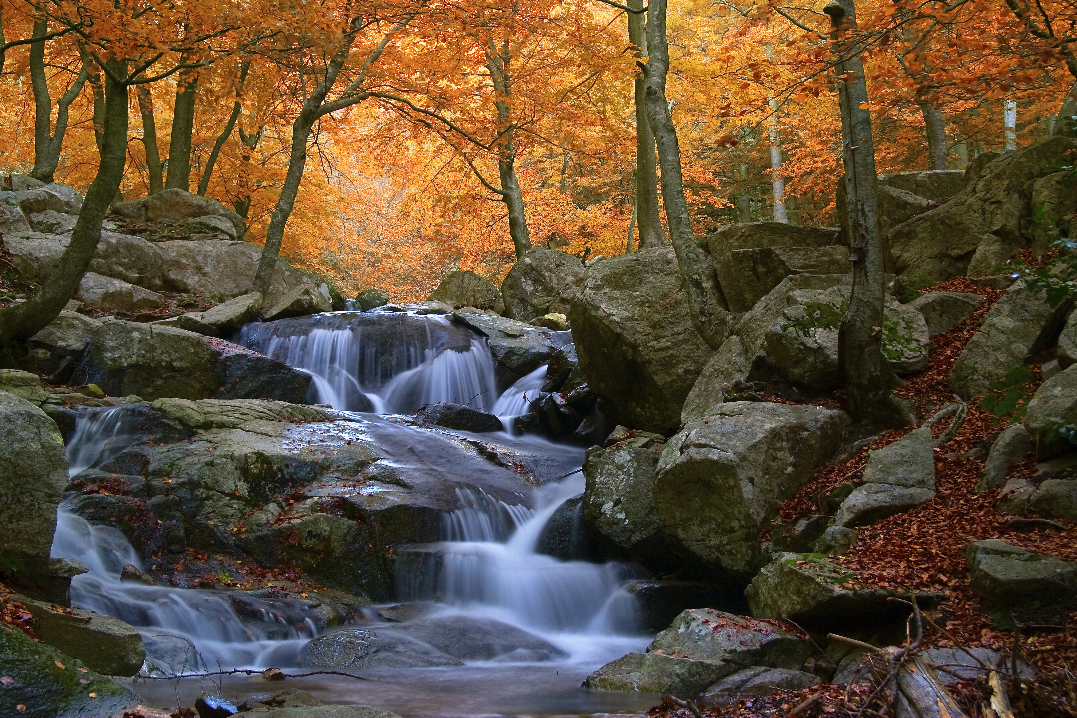 Cascada al Parc Natural del Montseny