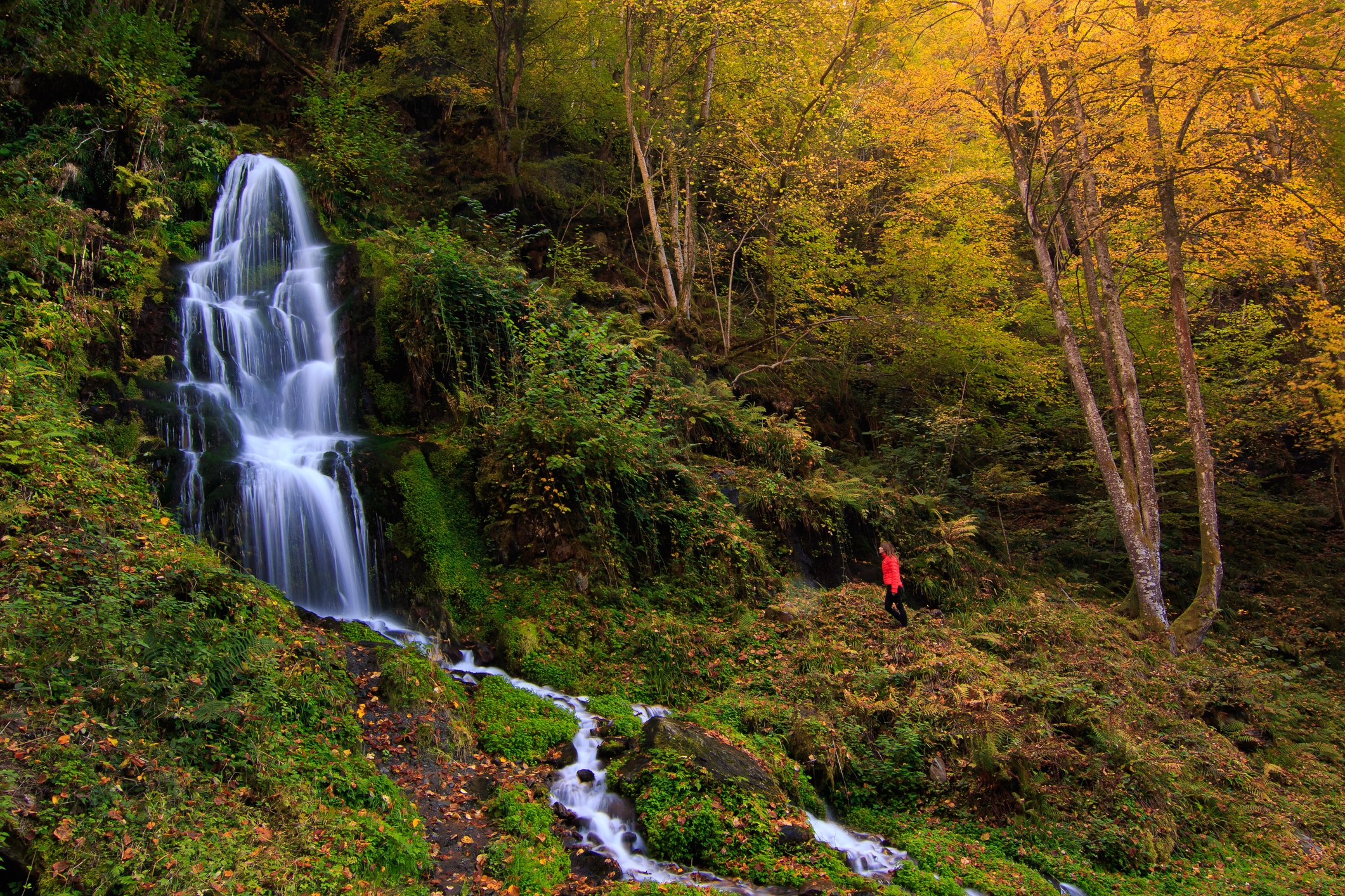 Saut d'Arbaet a la vall de Toran