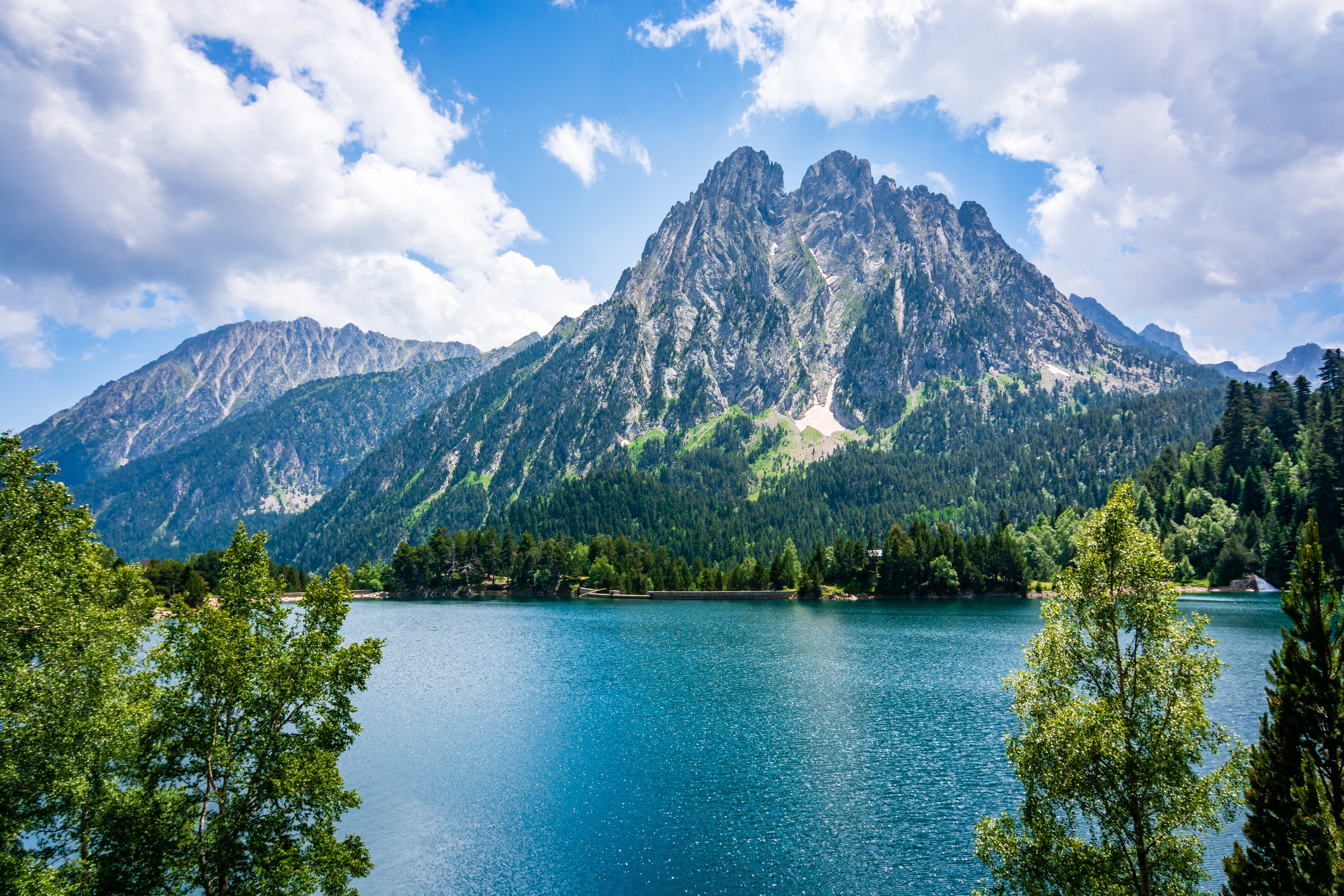 L'estany de Sant Maurici està envoltat de boscos de pi negre