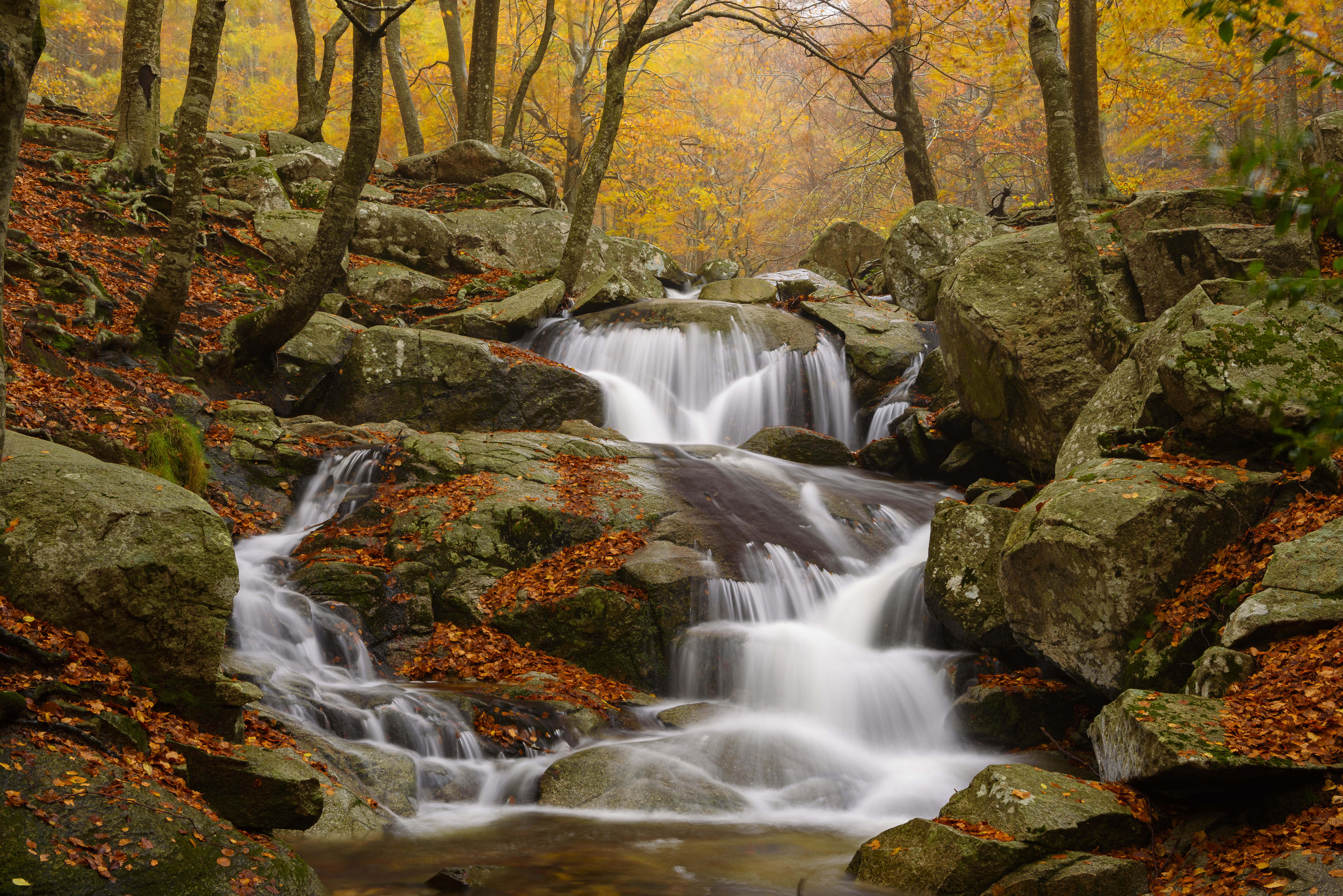 Riera de Passavets, al Montseny