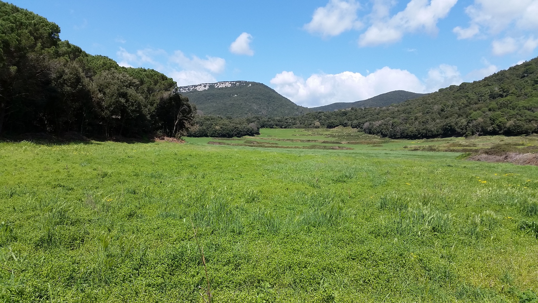 Puig de la Banya del Boc