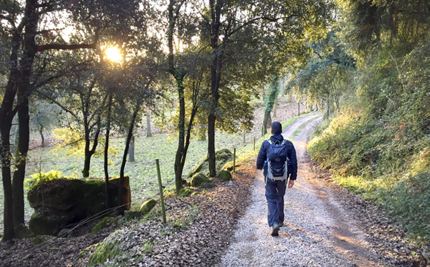 El camí cap a Mieres permet passar per racons tan bonics com la roureda de Bellaguarda.