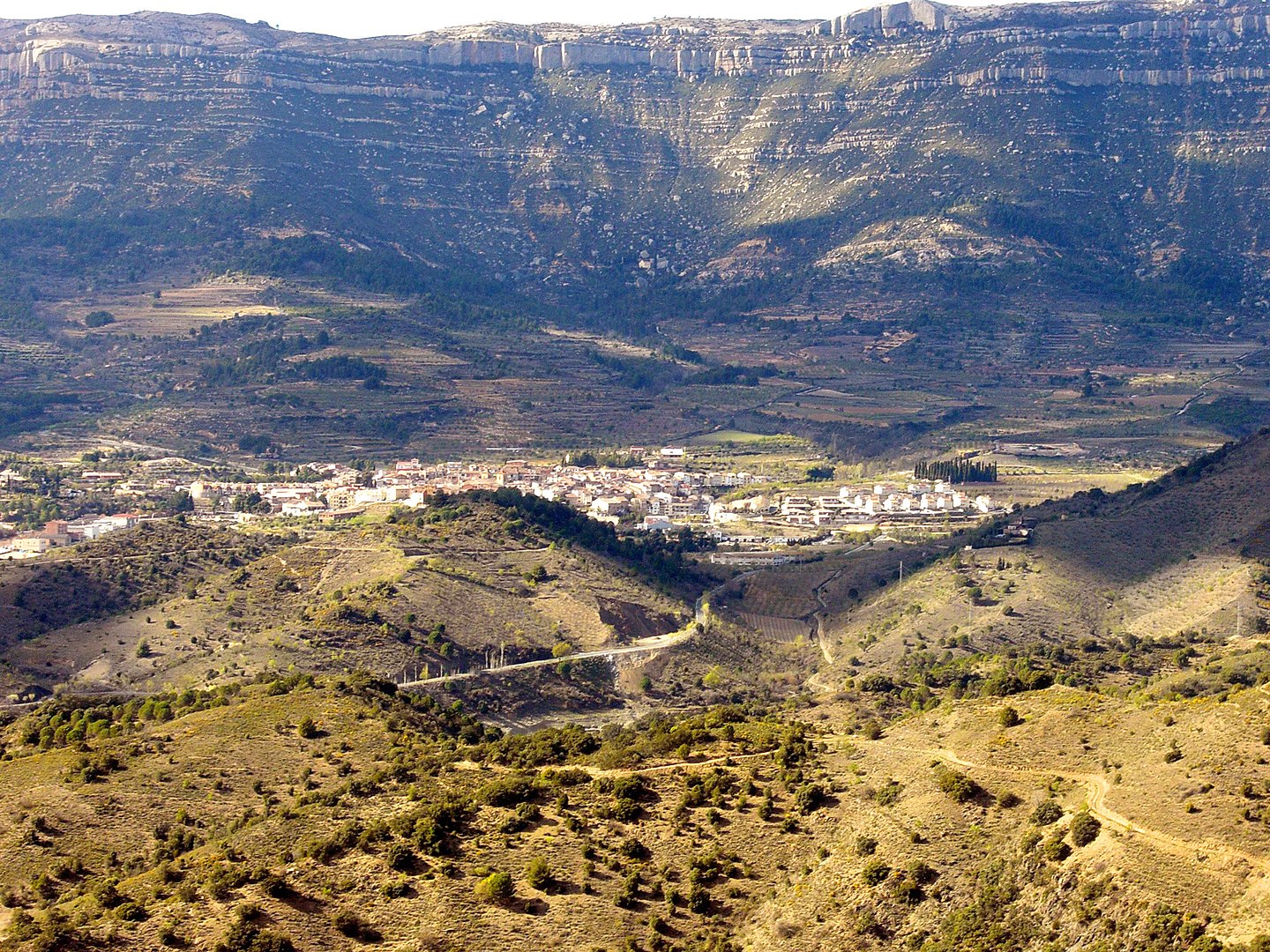 Vista de Cornudella de Montsant