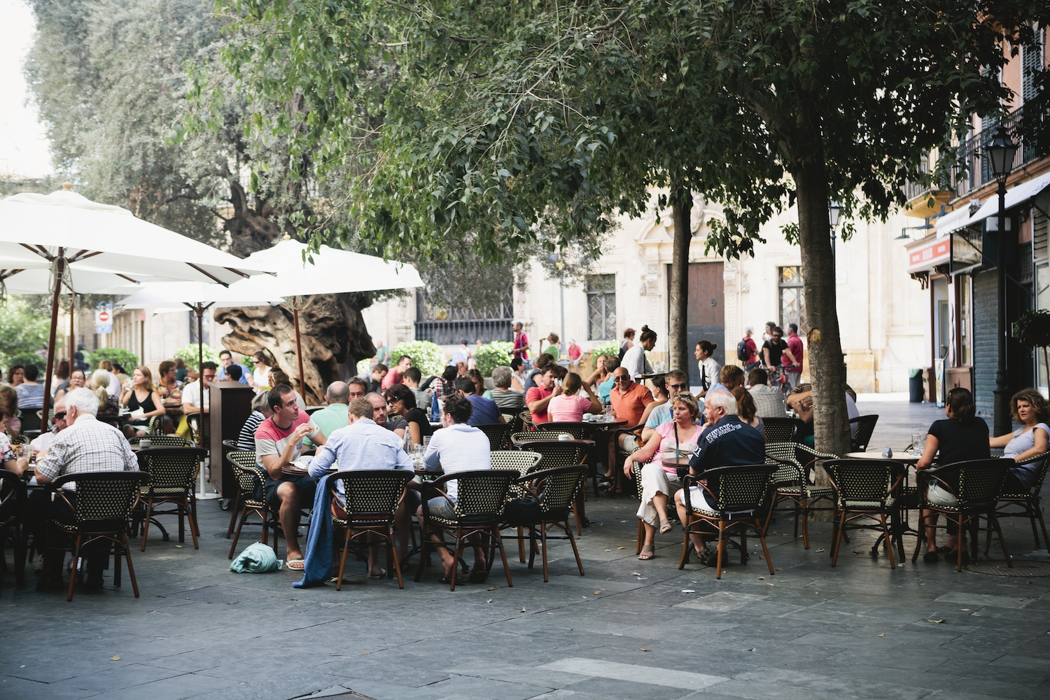 Les taules d'aquest restaurant ocupen bona part de l'espai de la caçada, a Palma de Mallorca