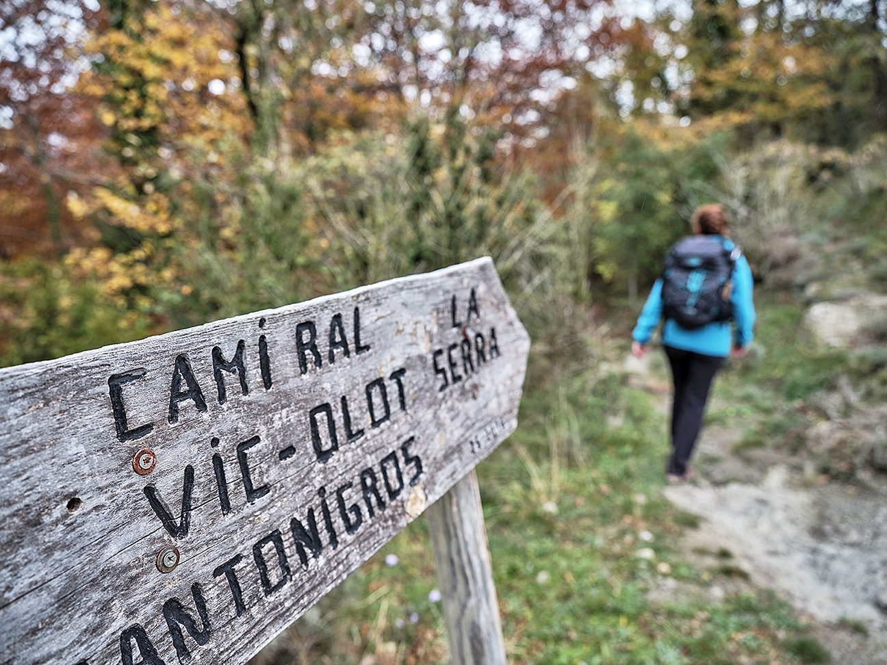 Indicacions arribant al mas la Serra i els carrers del voltant del mercat d’Olot un dilluns