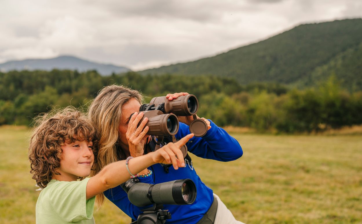 Observació dels cérvols amb telescopis terrestres