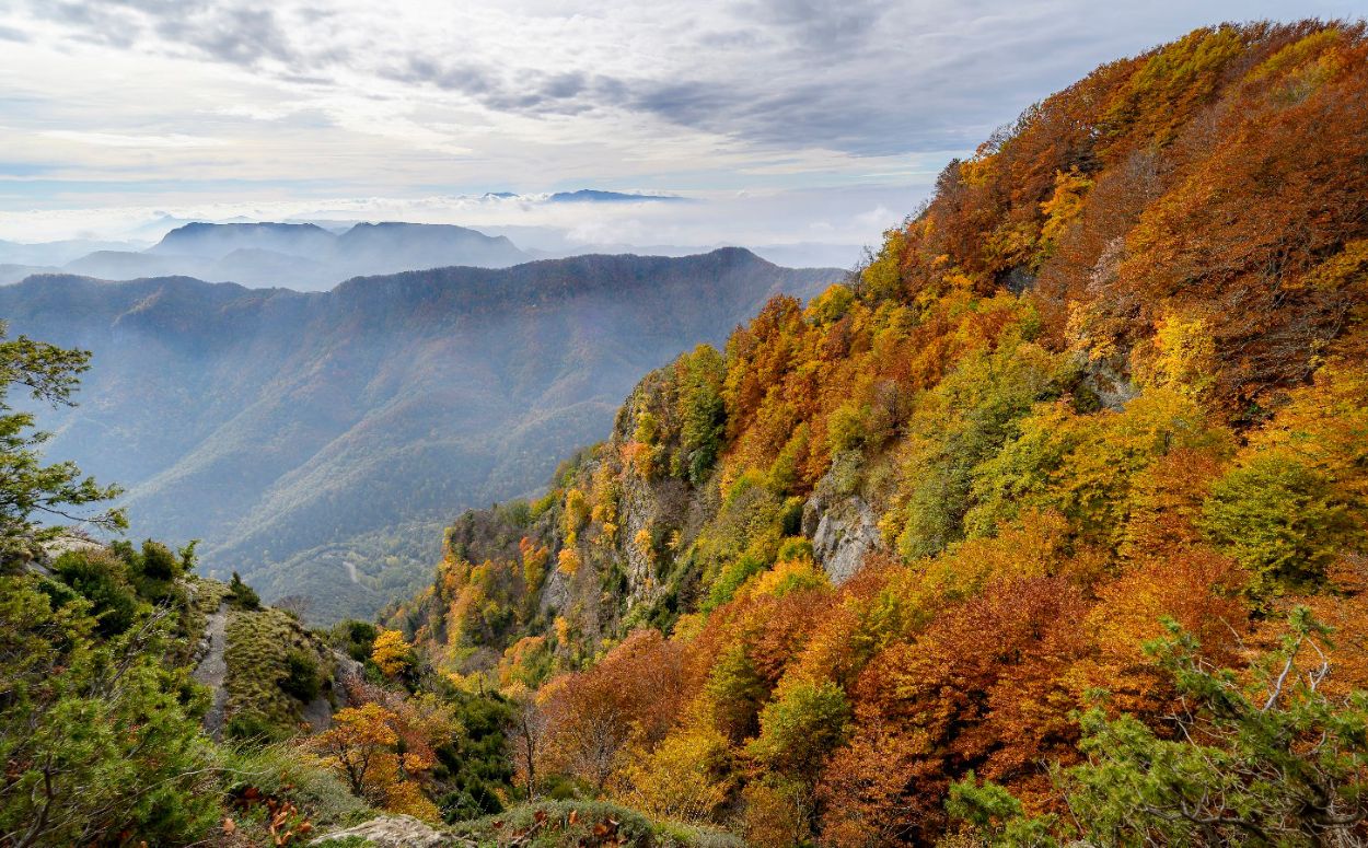 La Vall d’en Bas és una magnífica porta d’entrada al Pirineu. 