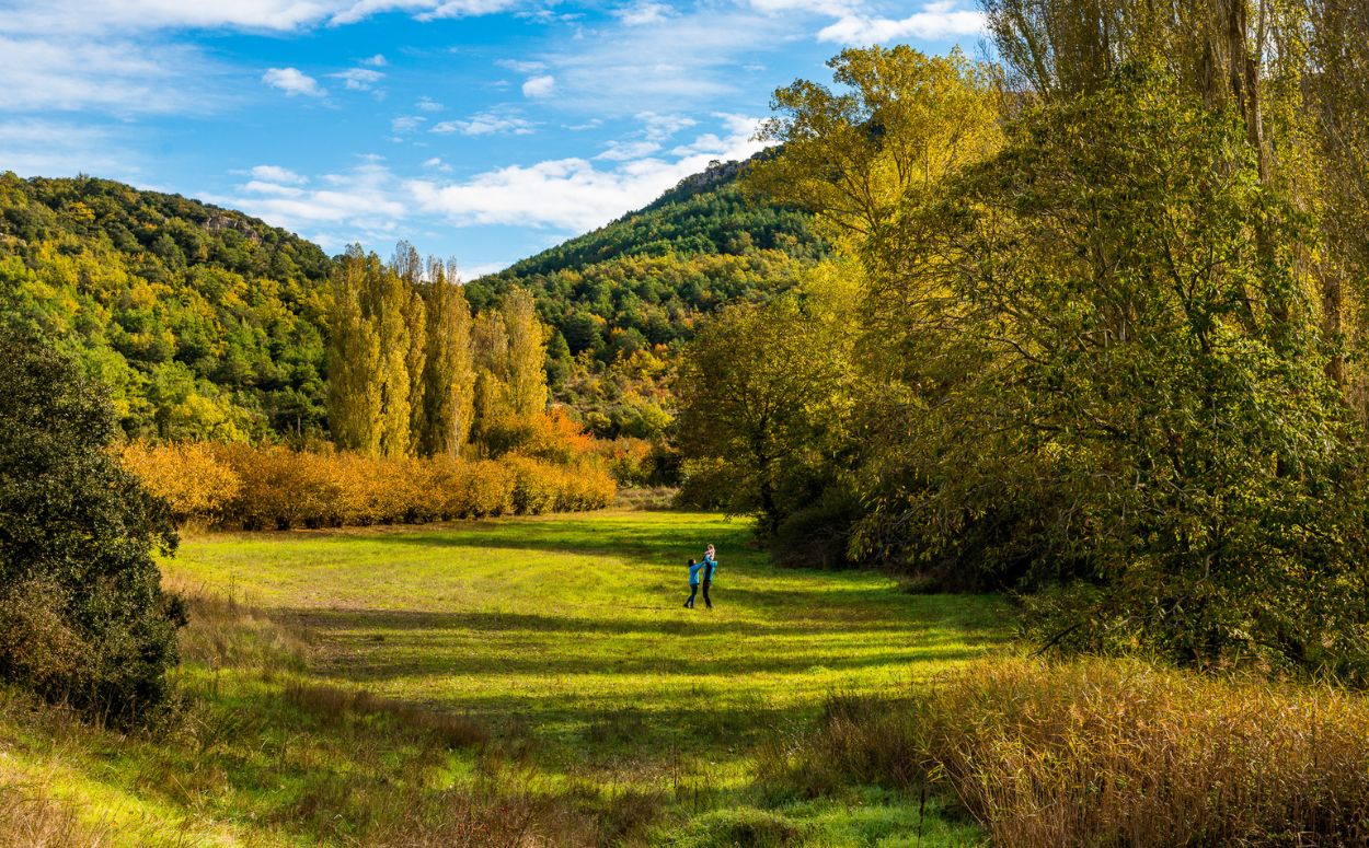 Zona del Mas del Regiment, als boscos de Prades