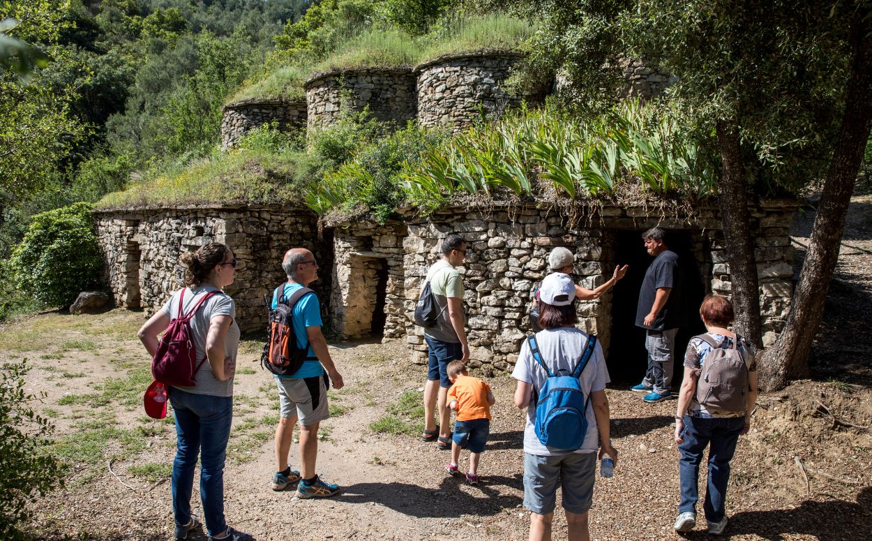 Conjunt de les tines del Tosques al Bages