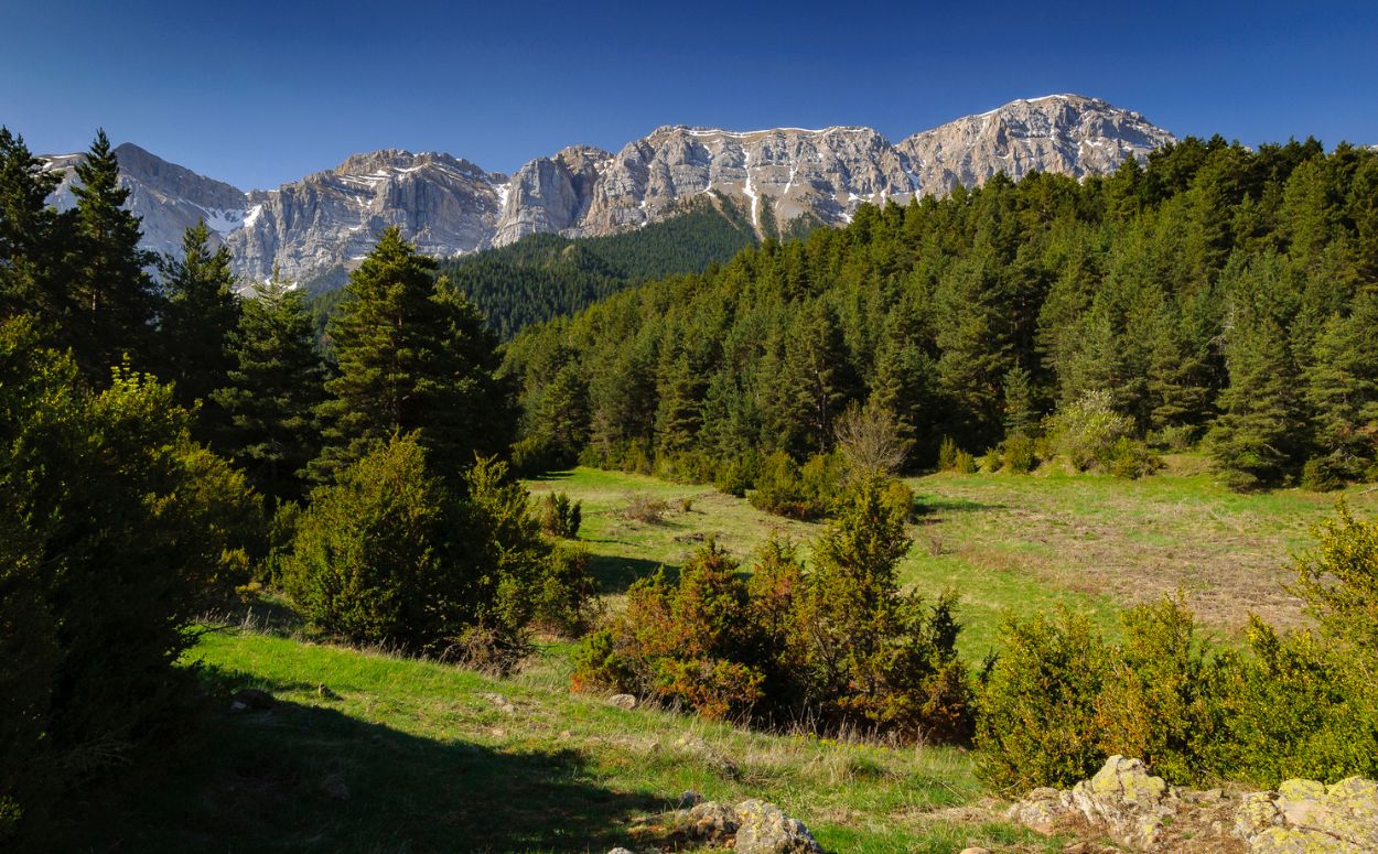 Serra de Cadí vista des del camí d'Estana al Prat de Cadí