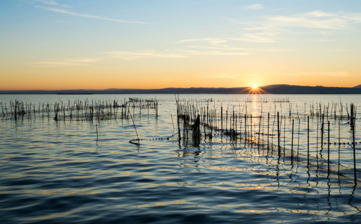 Parc Natural de l'Albufera amb la sortida del sol