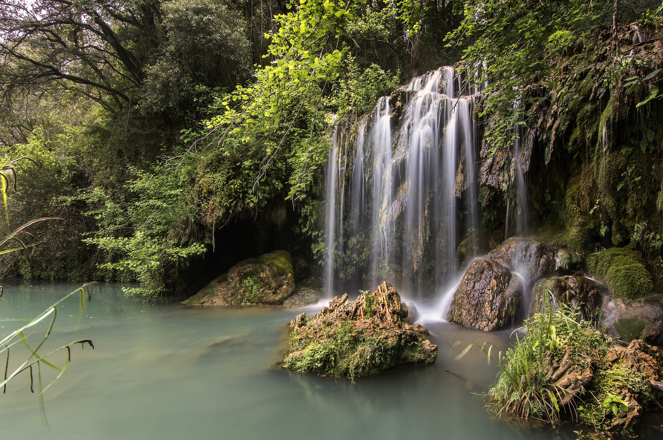 Al gorg del Molí dels Murris l’aigua sembla caure dels mateixos arbres