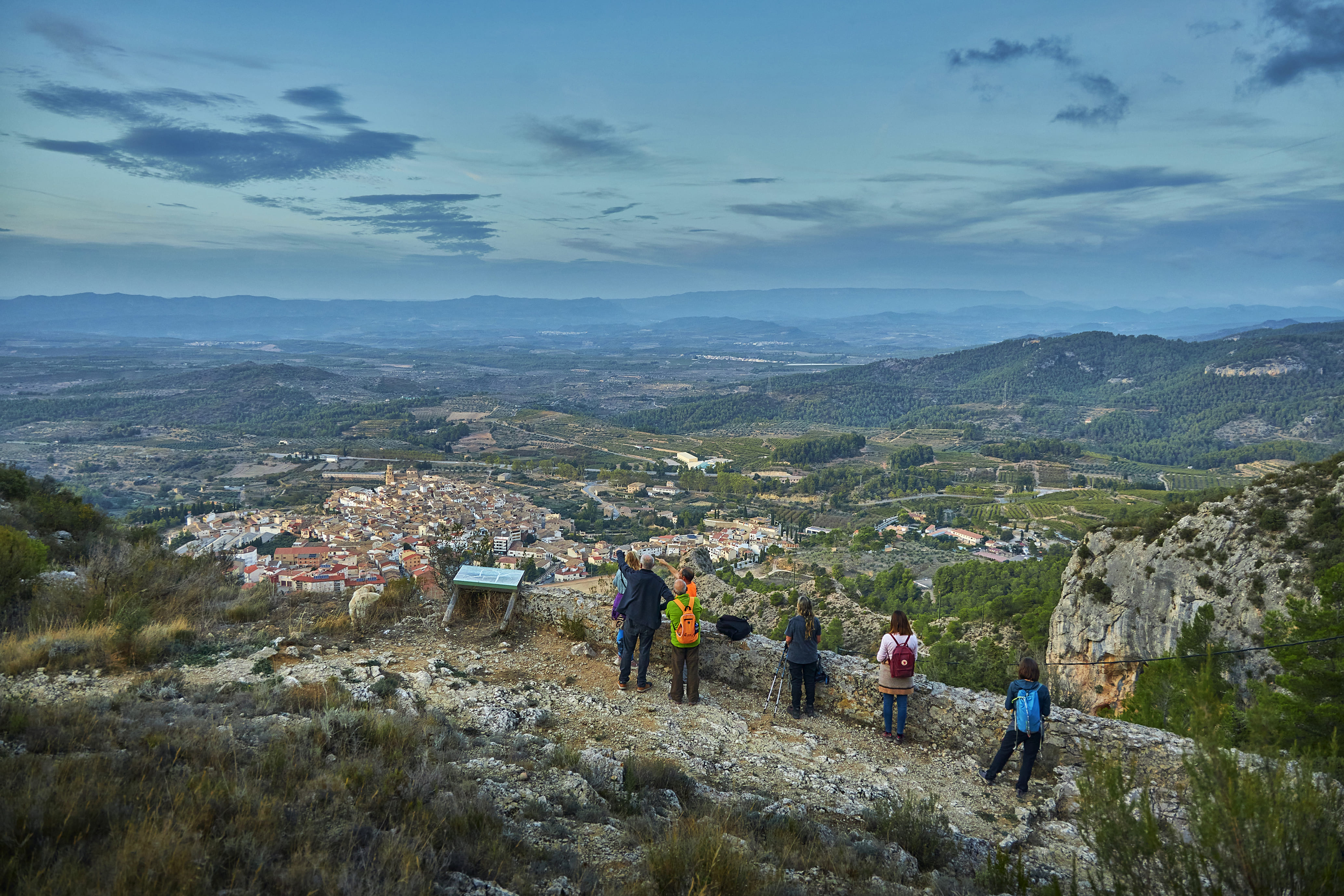 Tivissa des de les altures