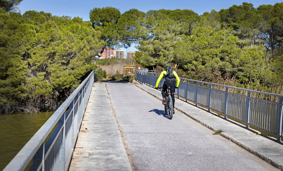 Anem en bicicleta per l'Albufera.