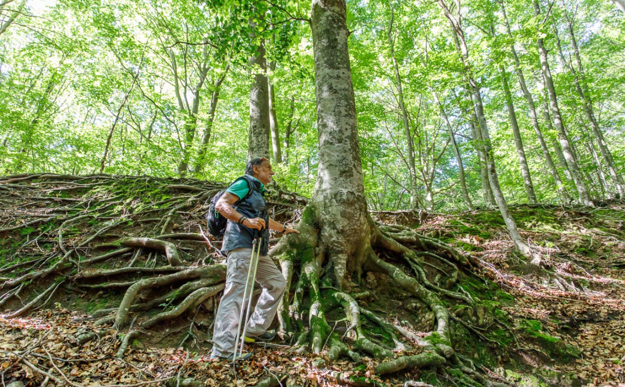 Ruta circular del Montseny