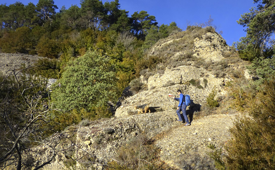 La caminada permet una vista excepcional de la serra de Busa i els seus voltants.