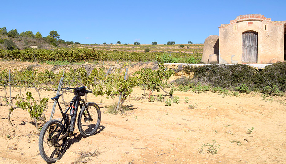 La ruta passa entre cabanes de vinya, algunes amb volta de canó.