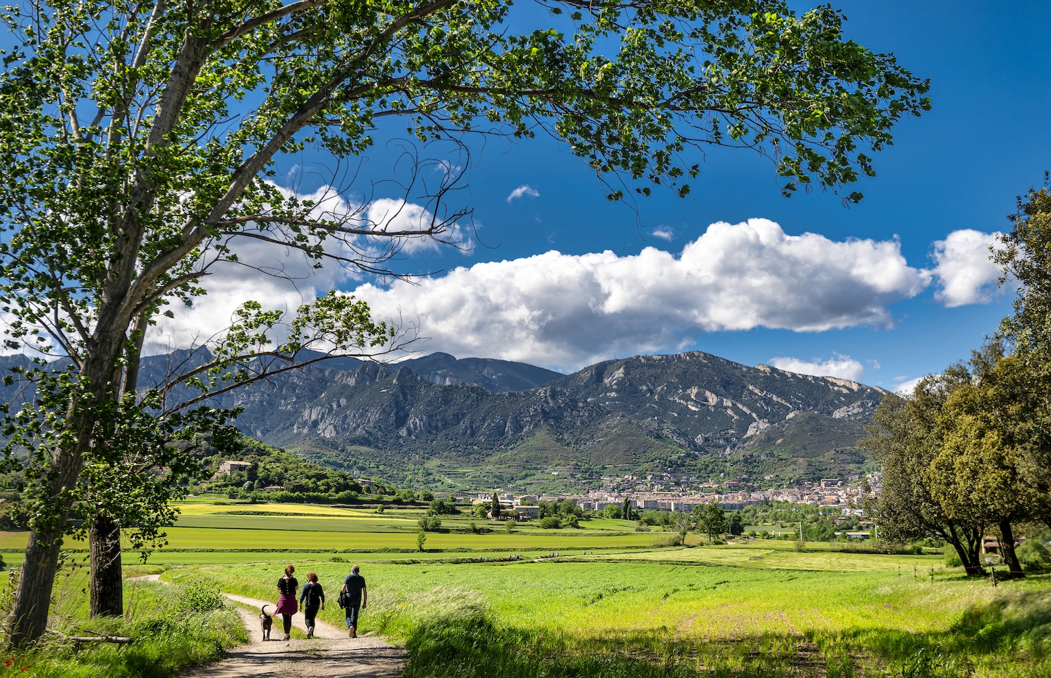 Uns passejants pels volts de la serra de Noet