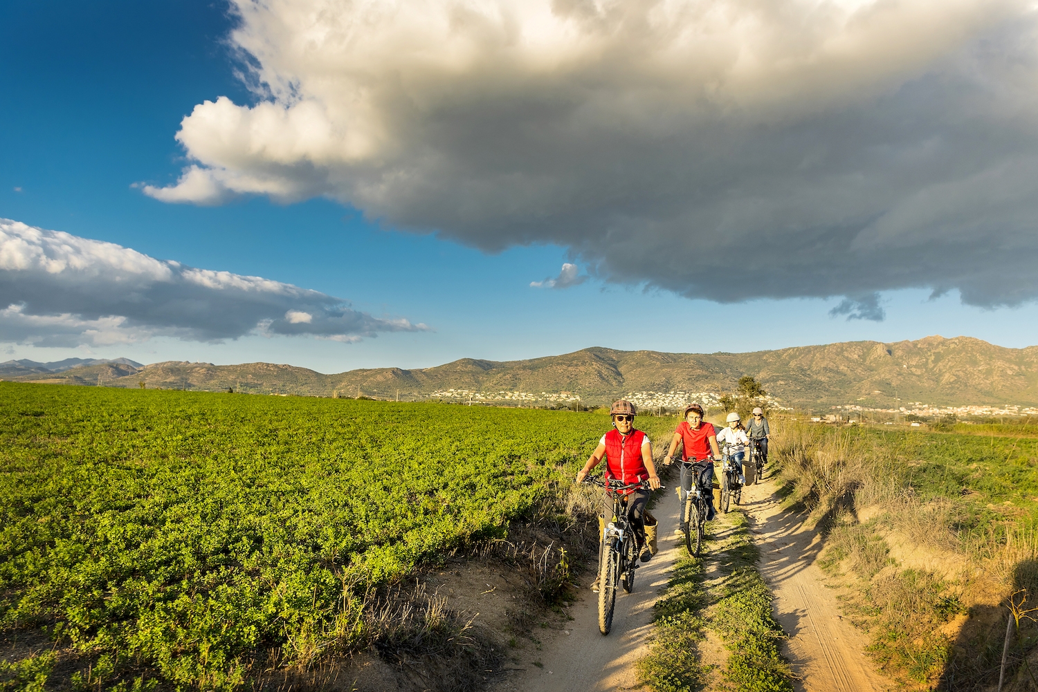 L’adaptació del sector al context disruptiu que vivim passa per assumir els límits ambientals del territori