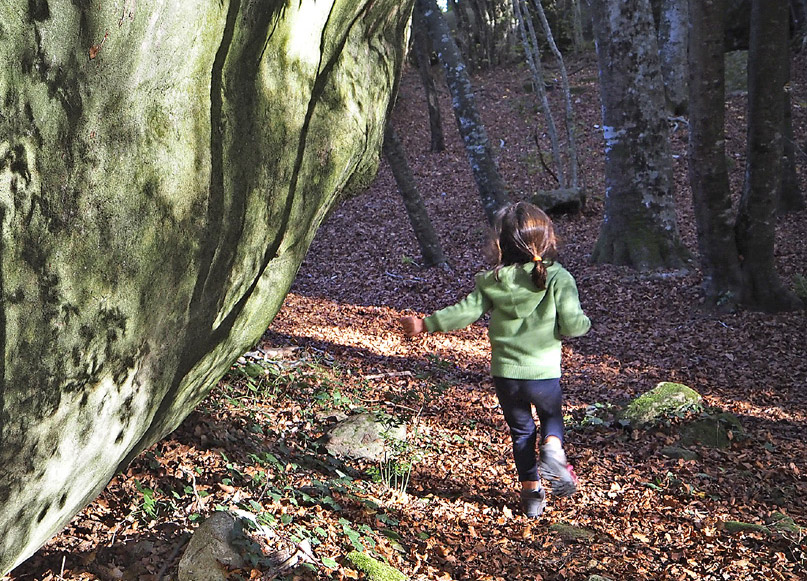 Les grans roques semblen com caigudes del cel i creen racons misteriosos en el bosc.