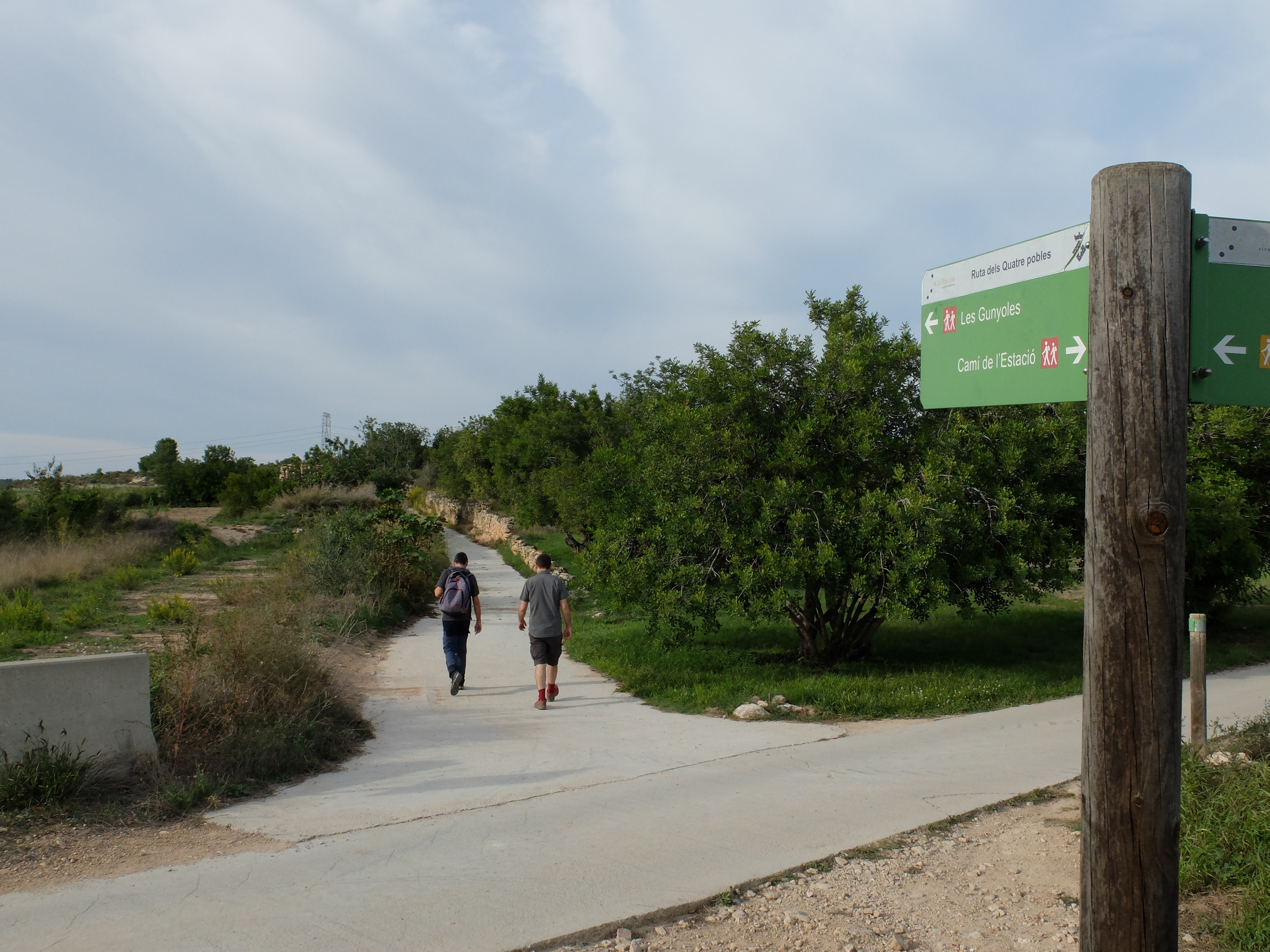 Els paisatges rurals de la Secuita.