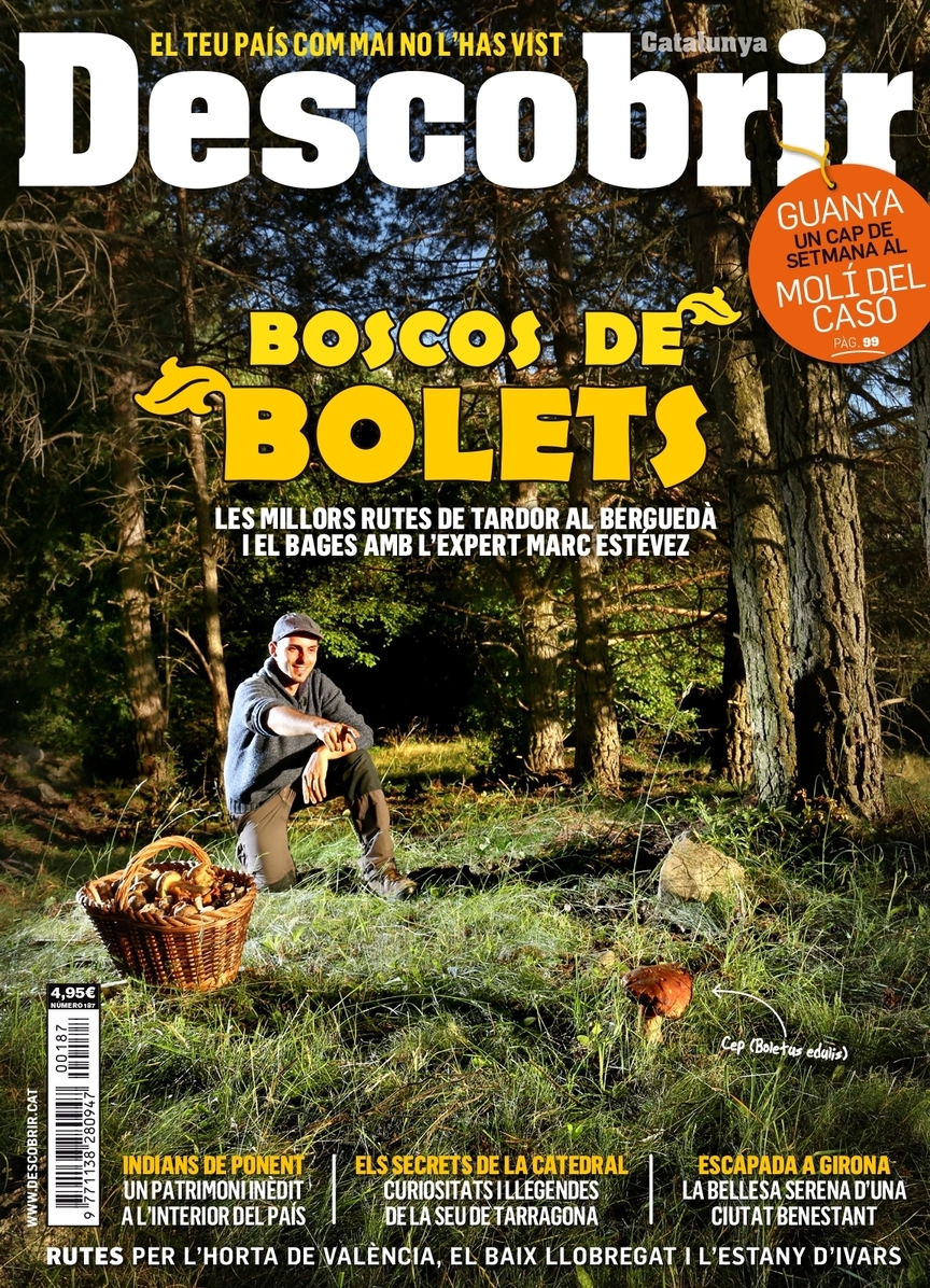 Portada Boscos de bolets - Descobrir 187