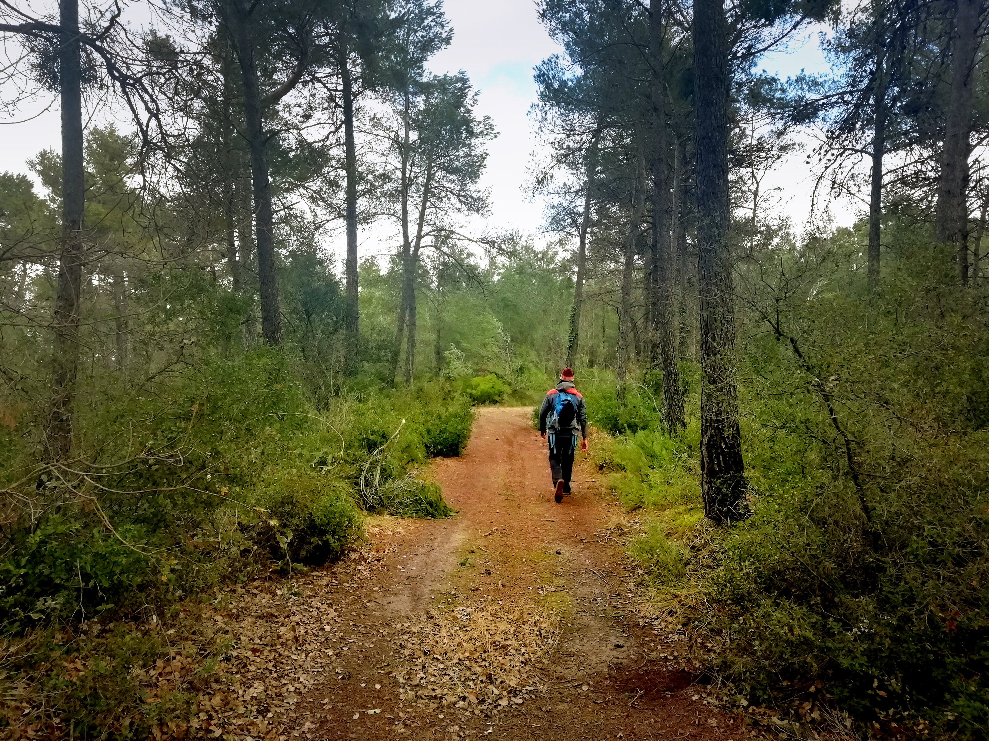 Per les Garrigues més muntanyoses.