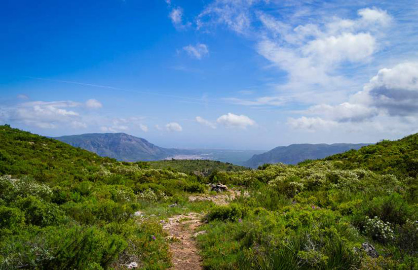 Vistes de la serra del Toro.