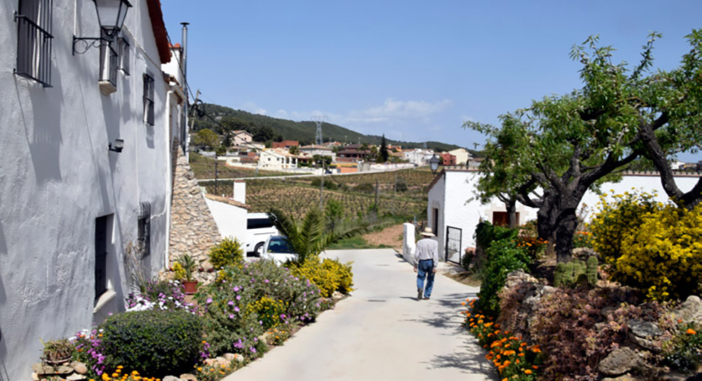 La ruta travessa el petit nucli de l’Arboçar de Baix, envoltat de vinyes.