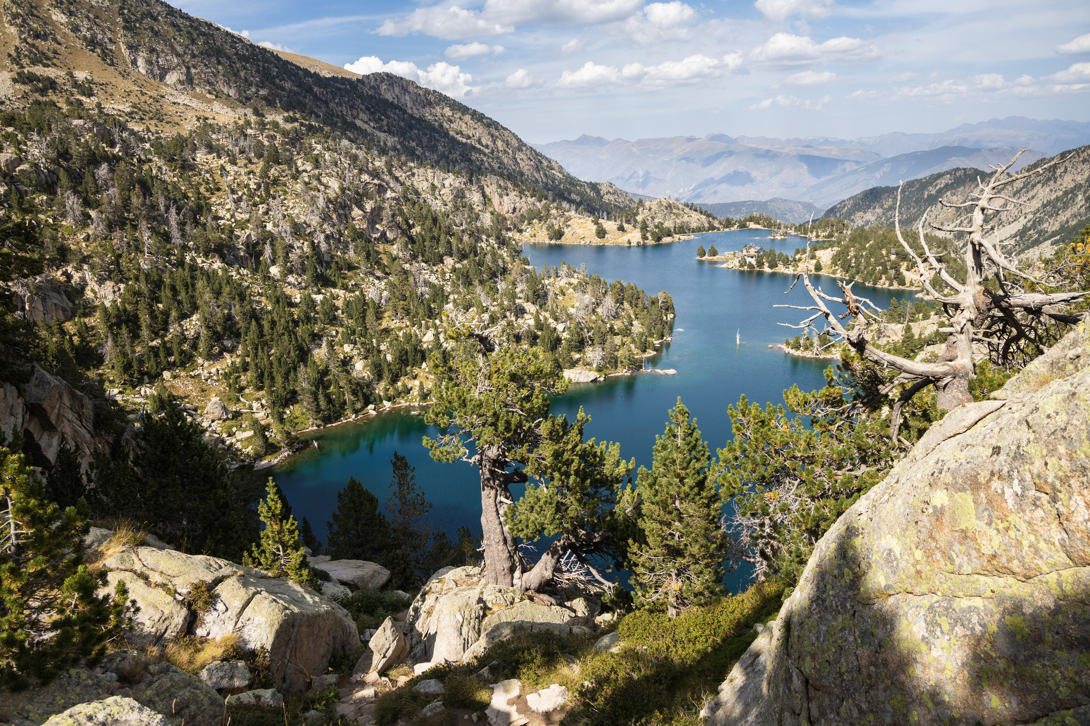 Estany negre