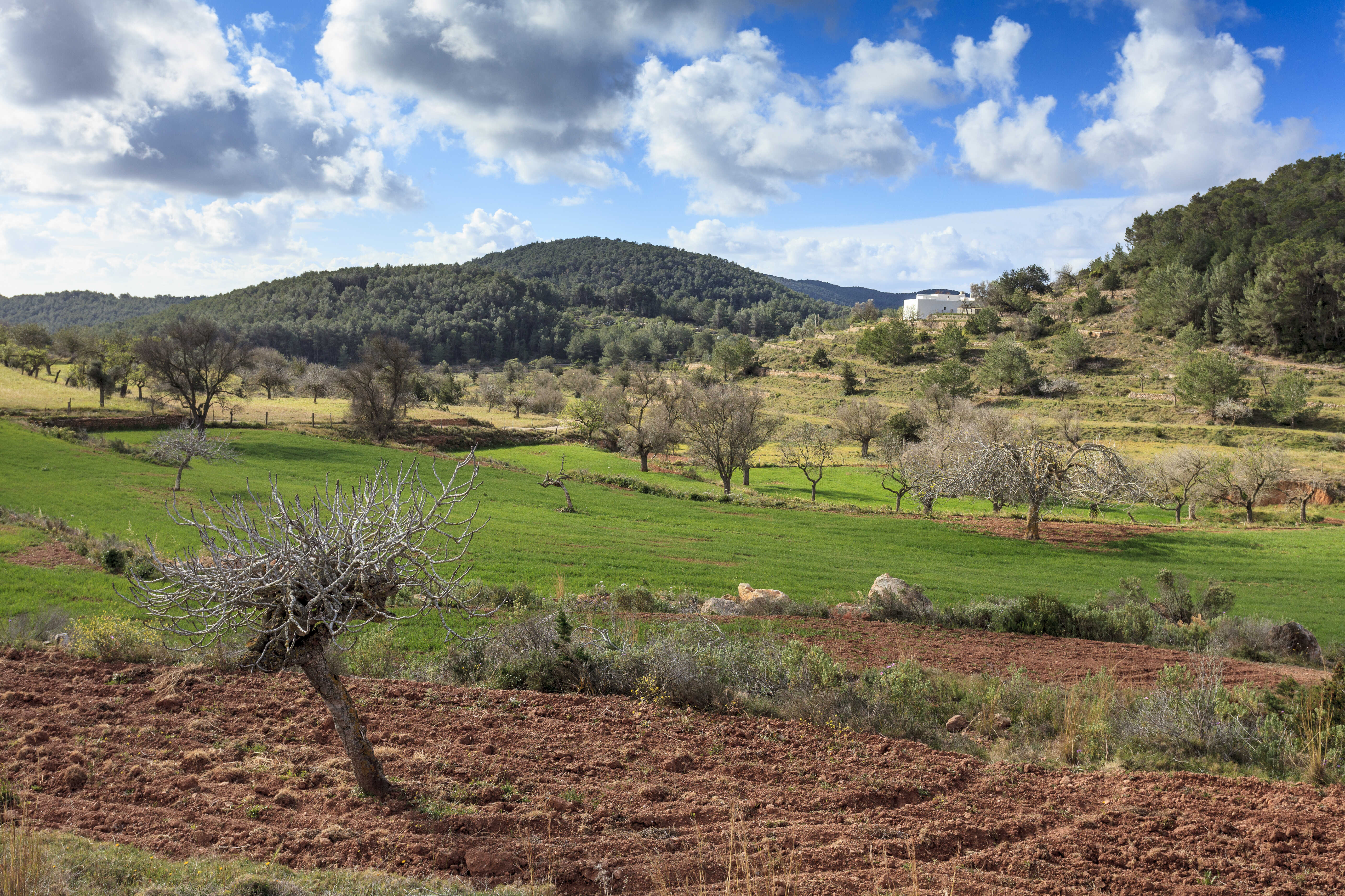 Una passejada pel camí vell de Labritja