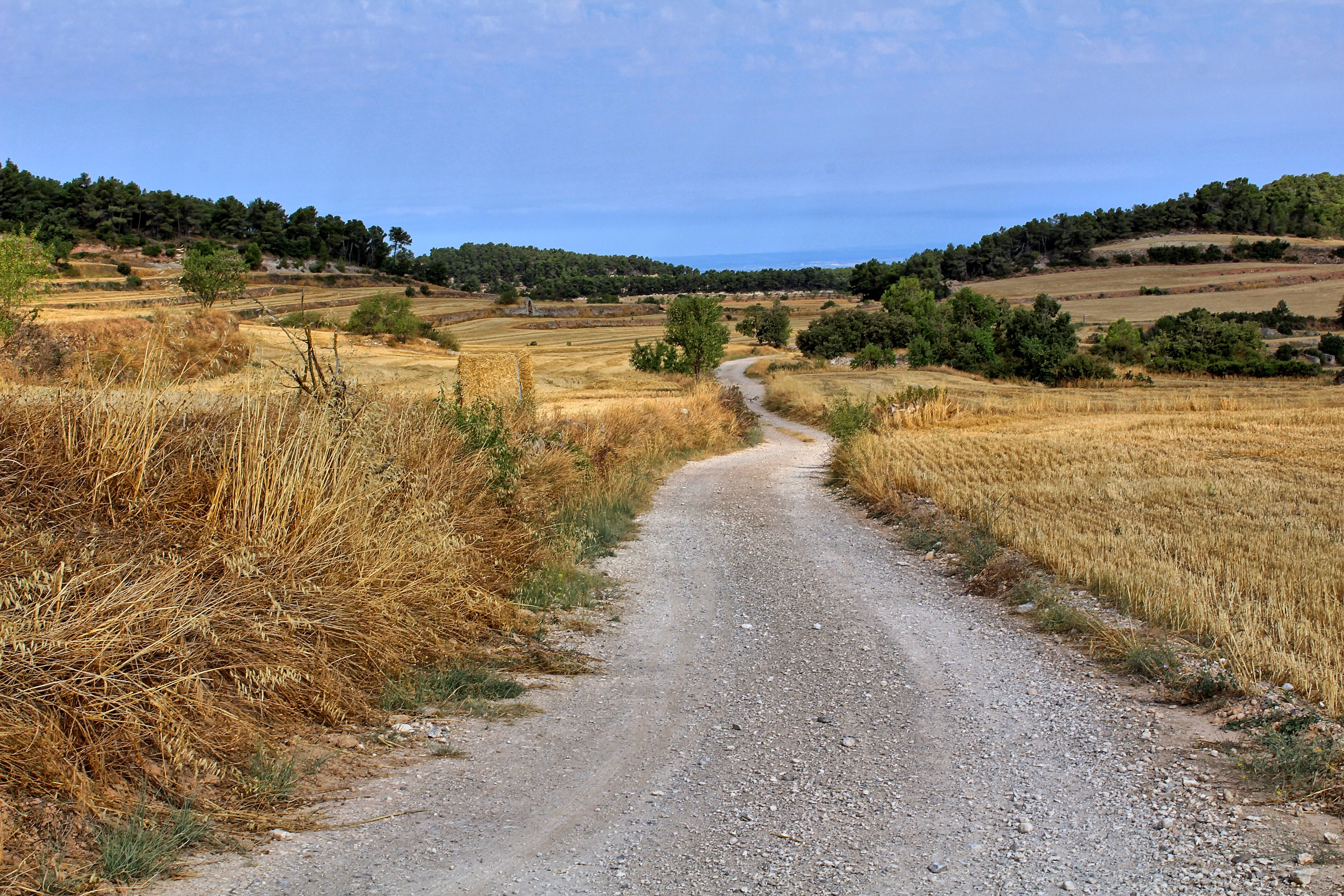 Una pedalada tranquil·la per l’Urgell esplendorós.