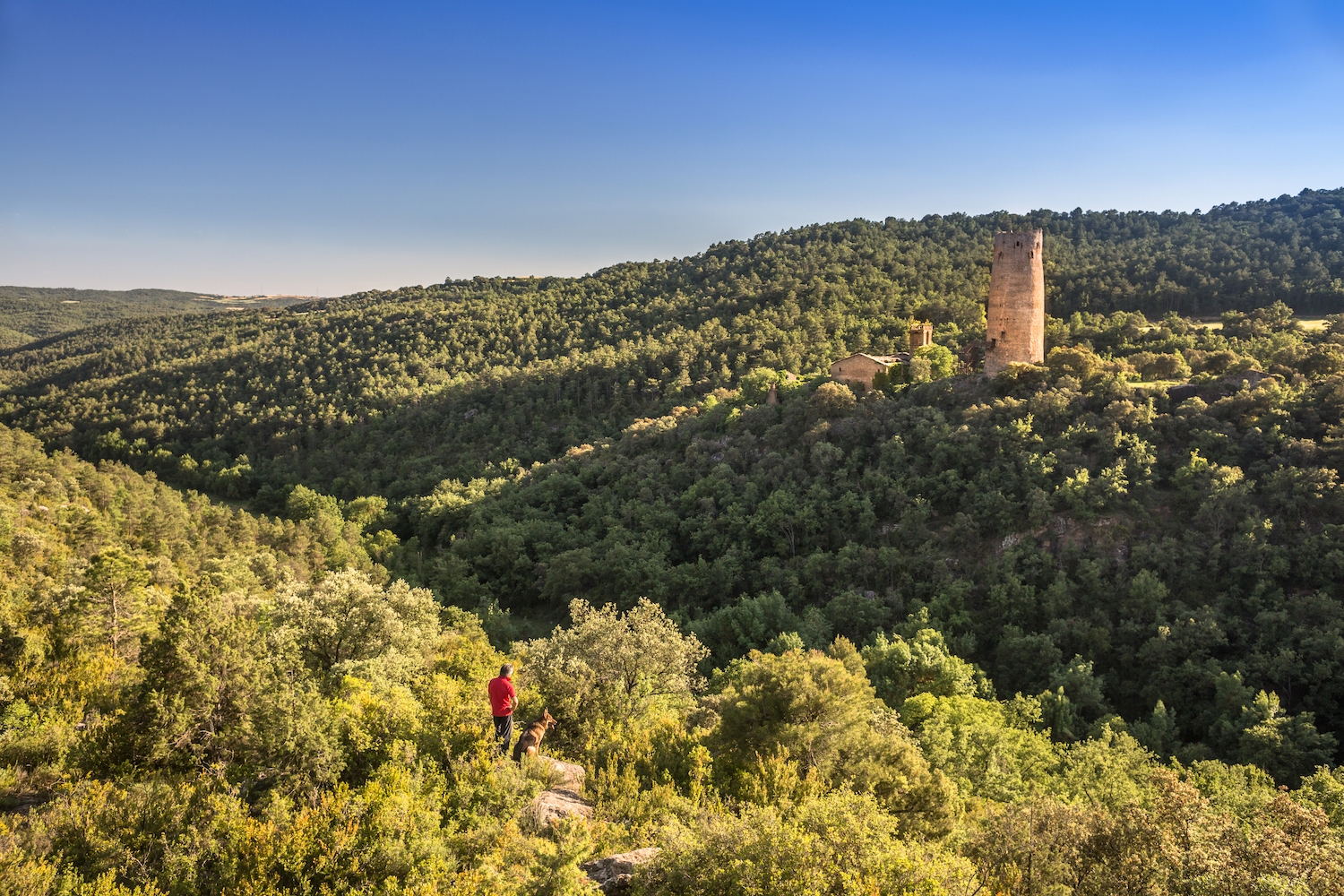 La torre de Vallferosa és el que queda de l’antic castell de Torà, dels senyors de Cardona.