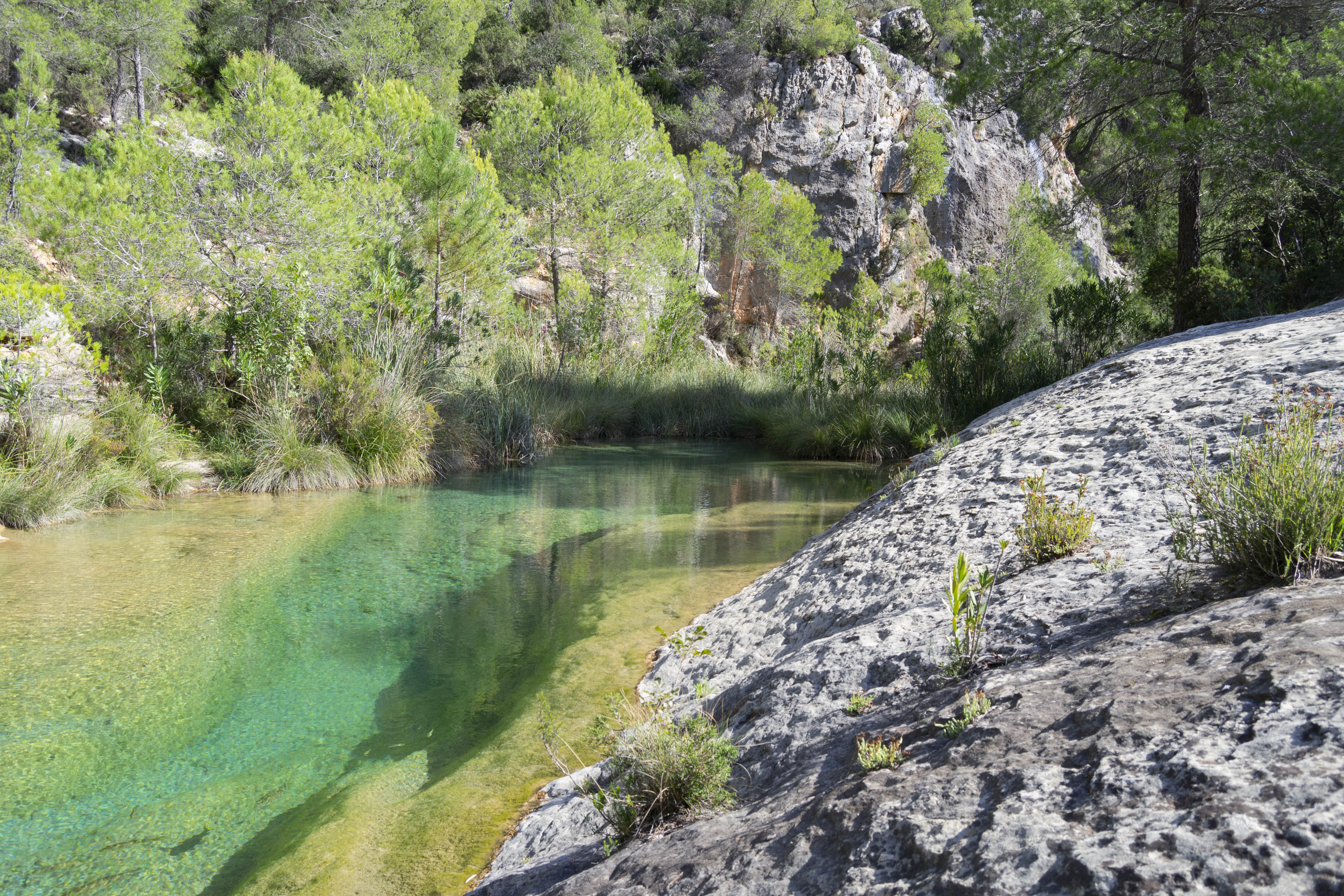 Un tomb per la natura i la prehistòria del Caroig