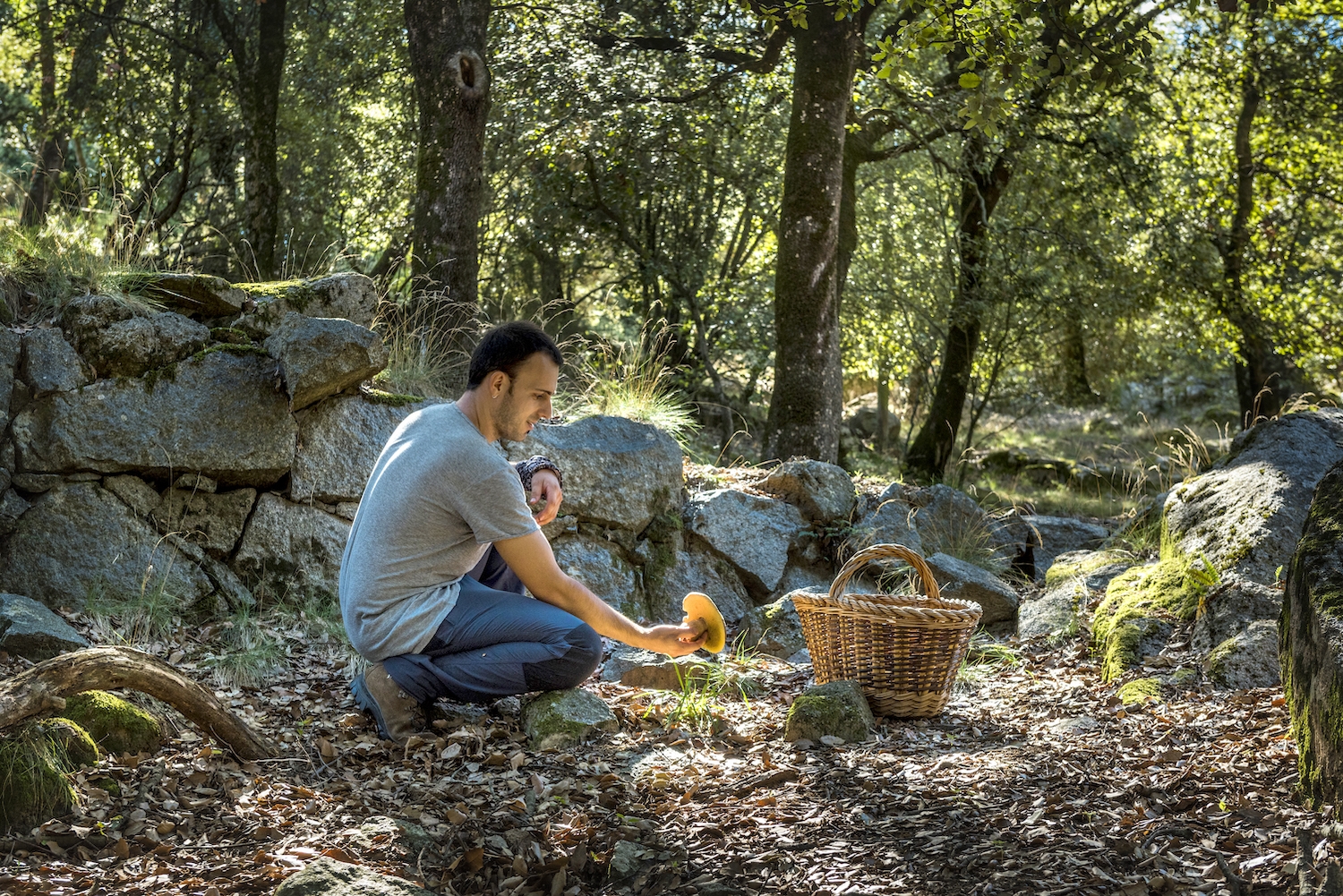 Després d'una estona de caminada ben segur que haureu caçat uns quants bolets