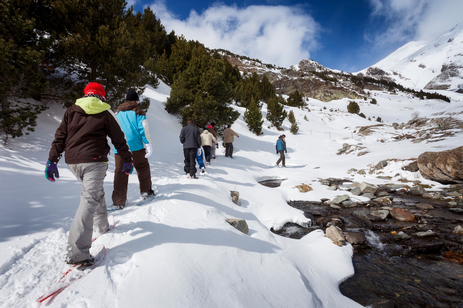 Per fer itineraris amb raquetes de neu no cal saber esquiar, només tenir ganes de gaudir del paisatge nevat