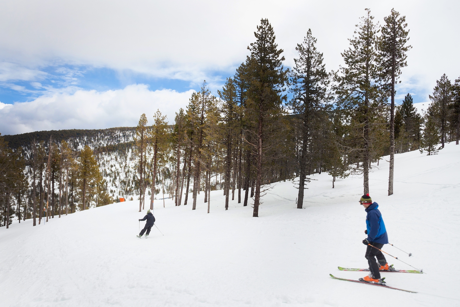 Les pistes d’esquí de Port Ainé es troben entre les cotes 1.650 i 2.440. En total, hi ha vint-i-cinc pistes, que sumen gairebé 25 km, i entre les quals n’hi ha sis verdes, quatre blaves, onze vermelles i quatre negres